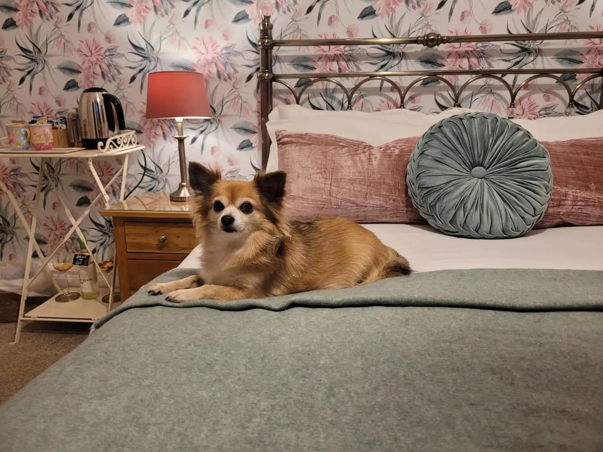 Standard Double Room in All Seasons Boutique Hotels