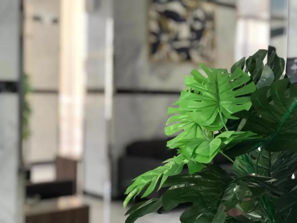 Atlantis Suites Hotel