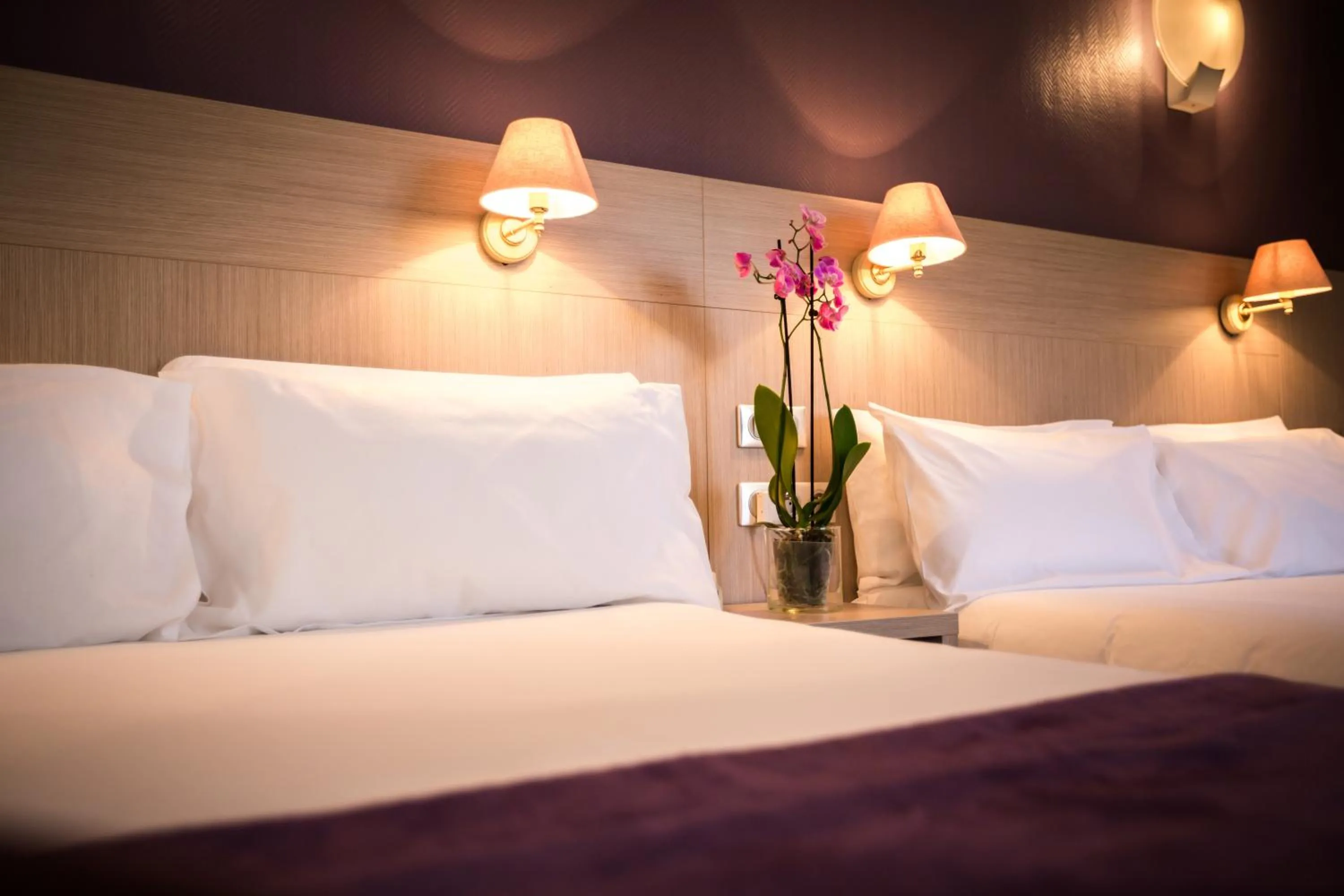 Photo of the whole room, Bed in Hôtel Christina Lourdes