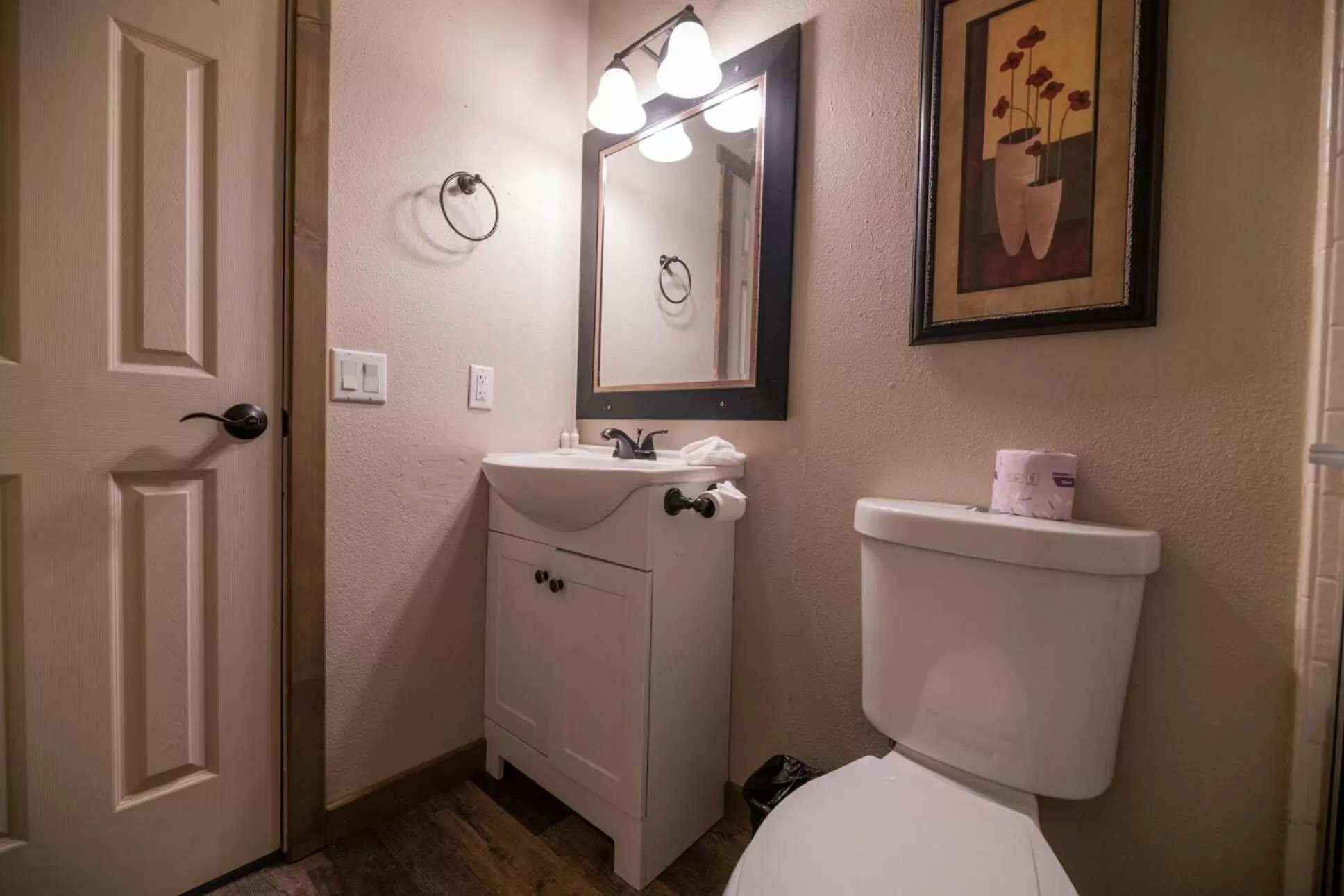 Bathroom in Black Forest Lodge