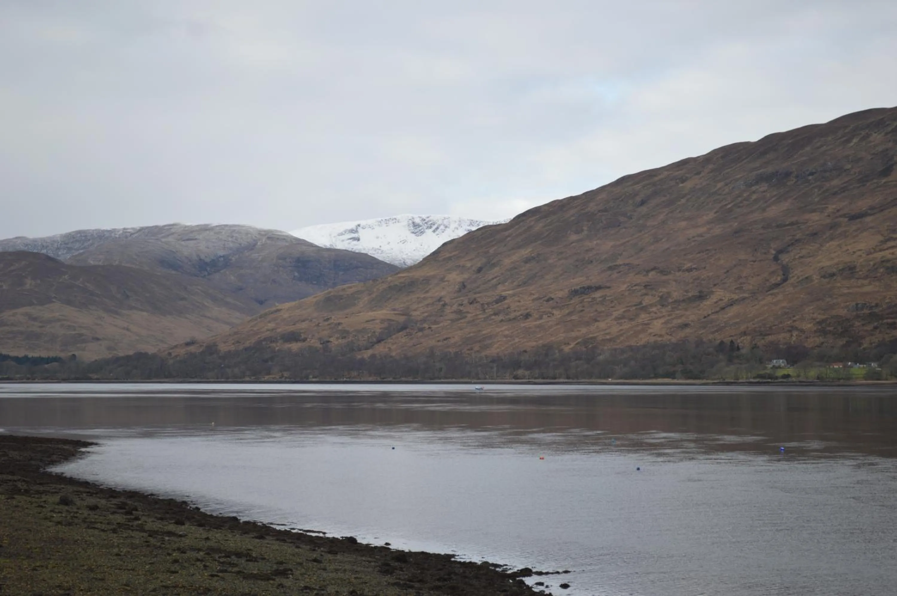 View (from property/room) in Cruachan Hotel