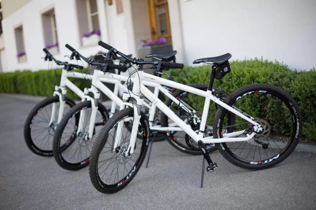 Cycling in Sonnegg Hotel
