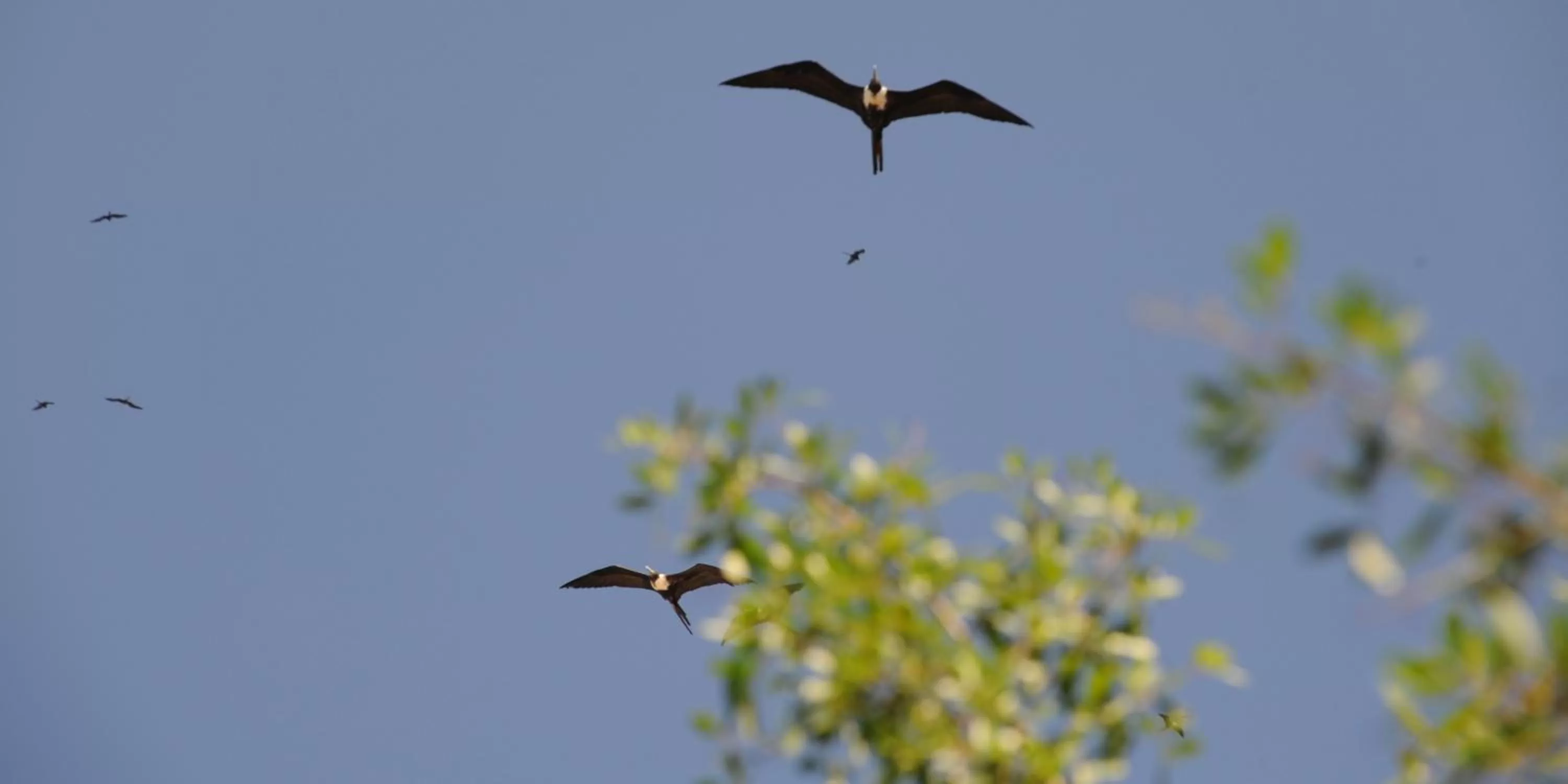 Animals, Other Animals in Felissimo Exclusive Hotel