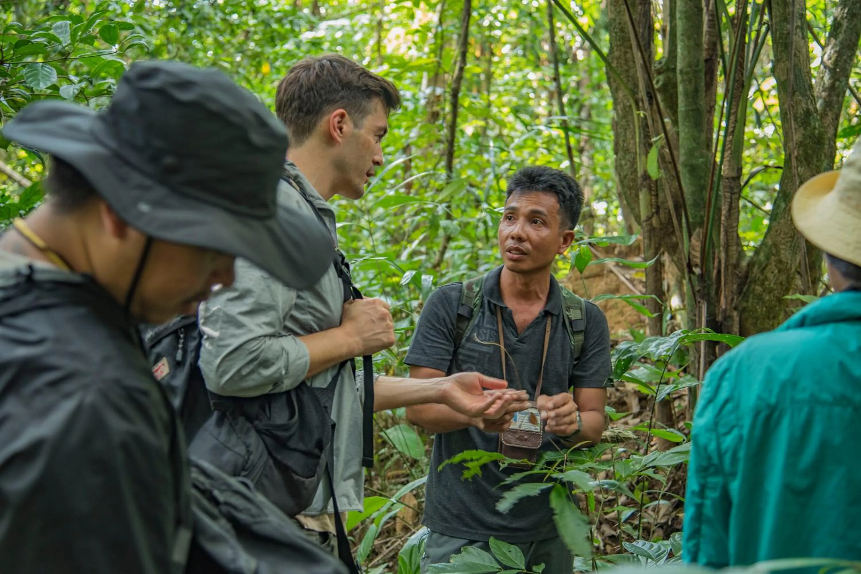 Activities in Our Jungle Camp - Eco Resort