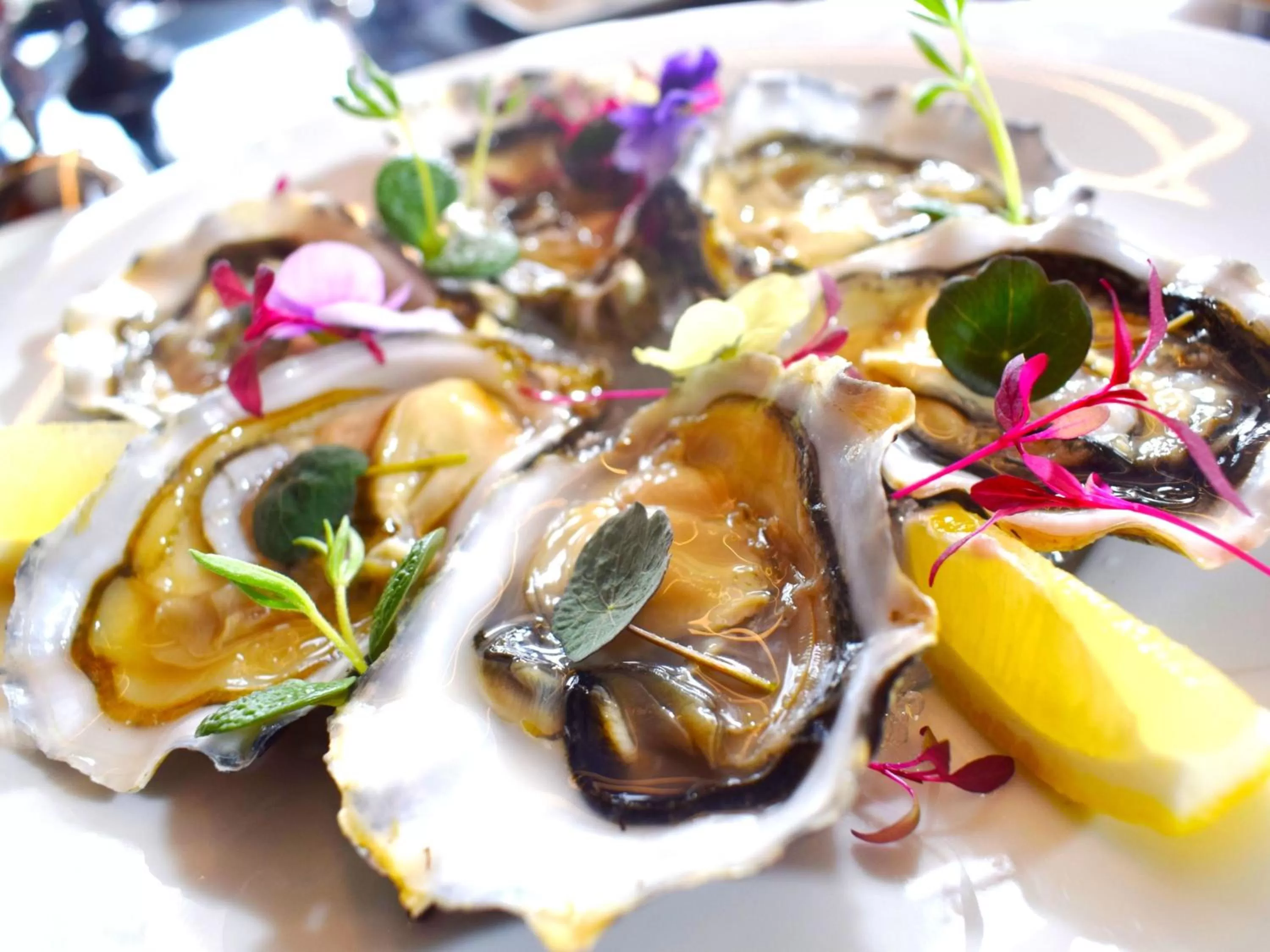 Restaurant/places to eat in Suter Palace Heritage Boutique Hotel