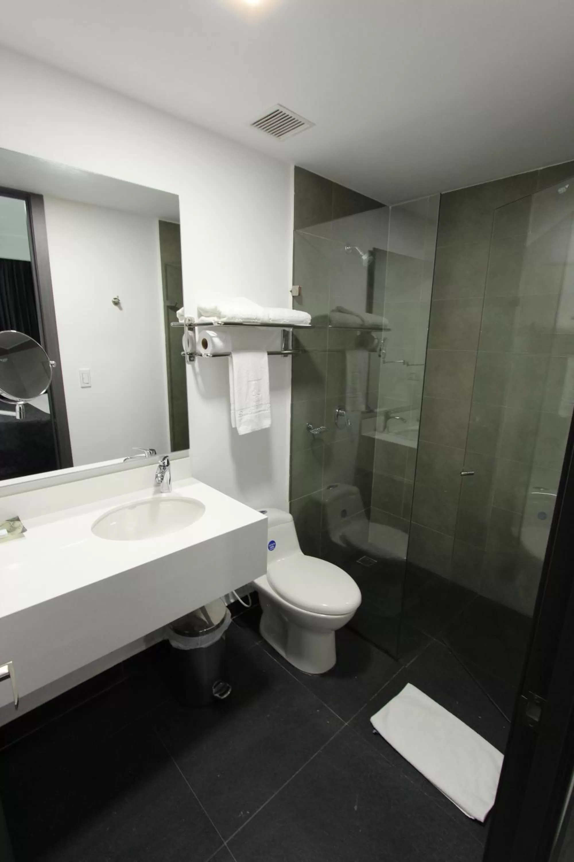 Shower, Bathroom in Hotel San Fernando Real