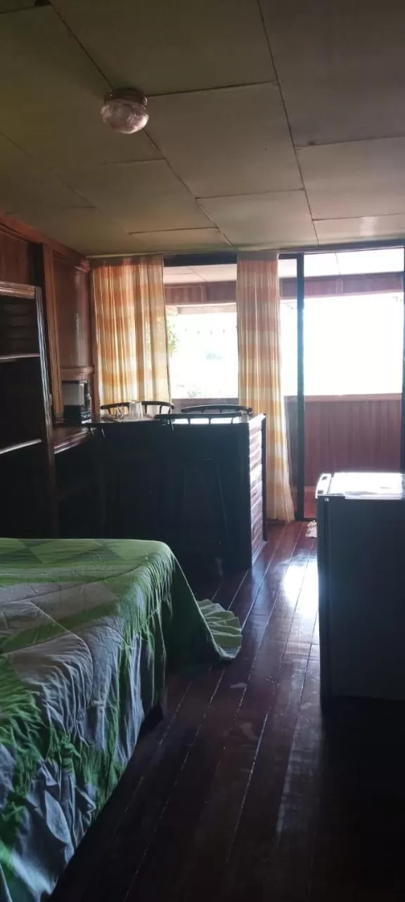 Double Room in Hotel Green Mountain