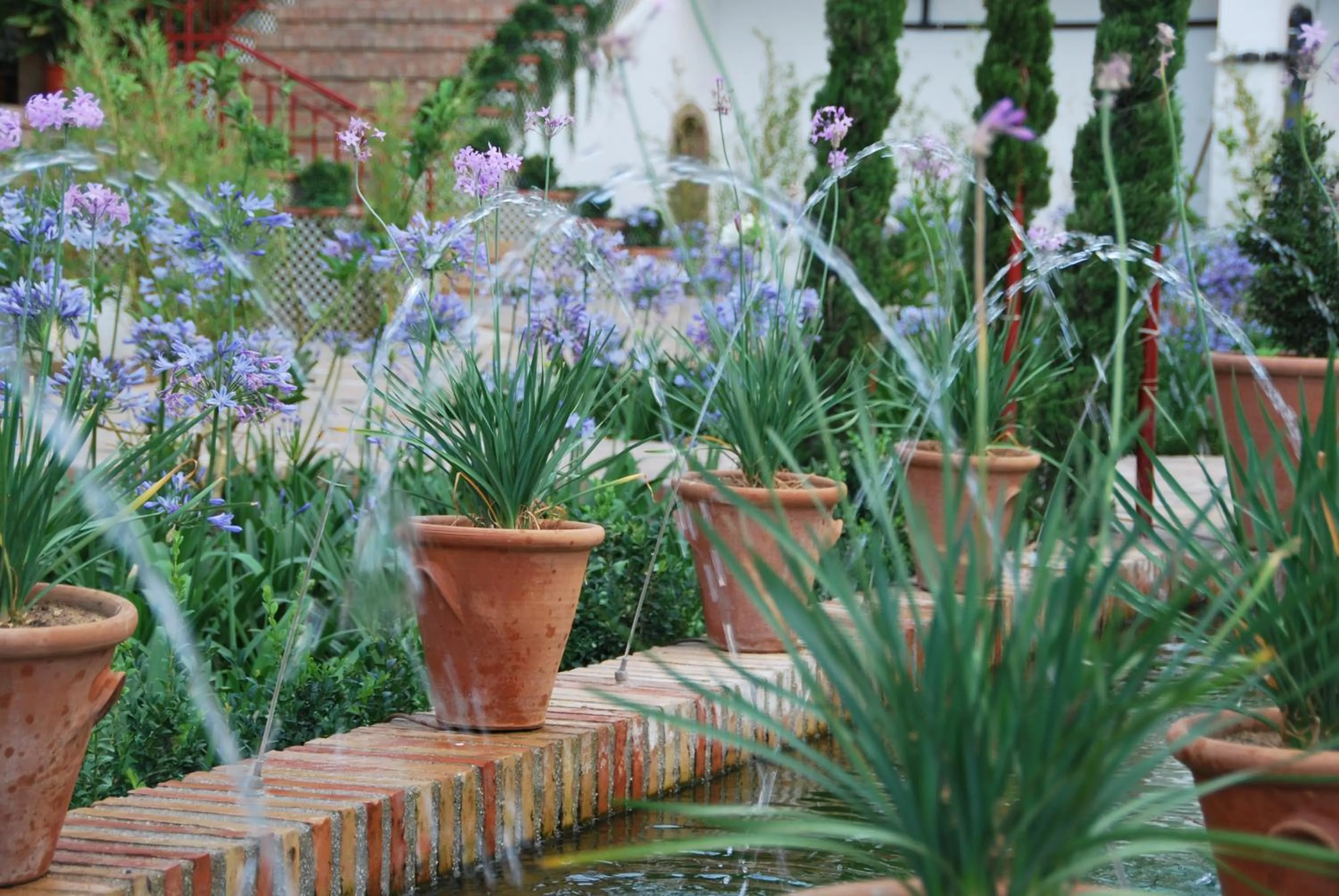 Area and facilities in Hotel Andalucia