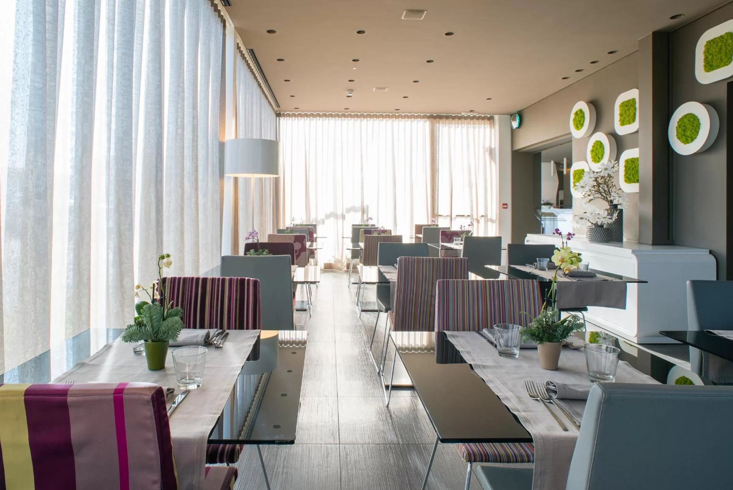 Restaurant/places to eat in 8Piuhotel