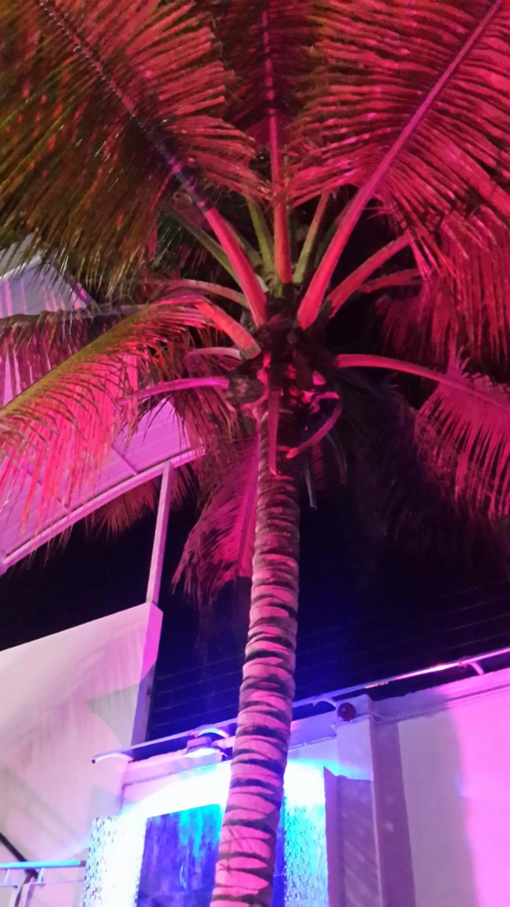 Swimming Pool in Tropical Resort Tocaima