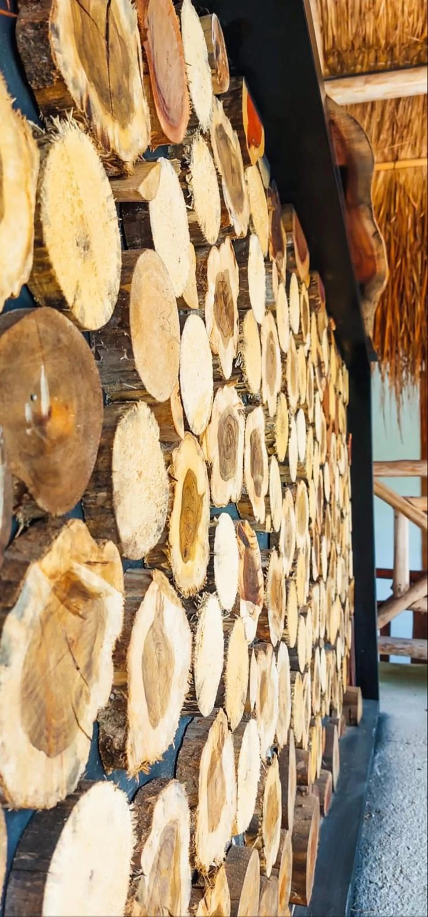 Food in Hotel Xa´an Bacalar