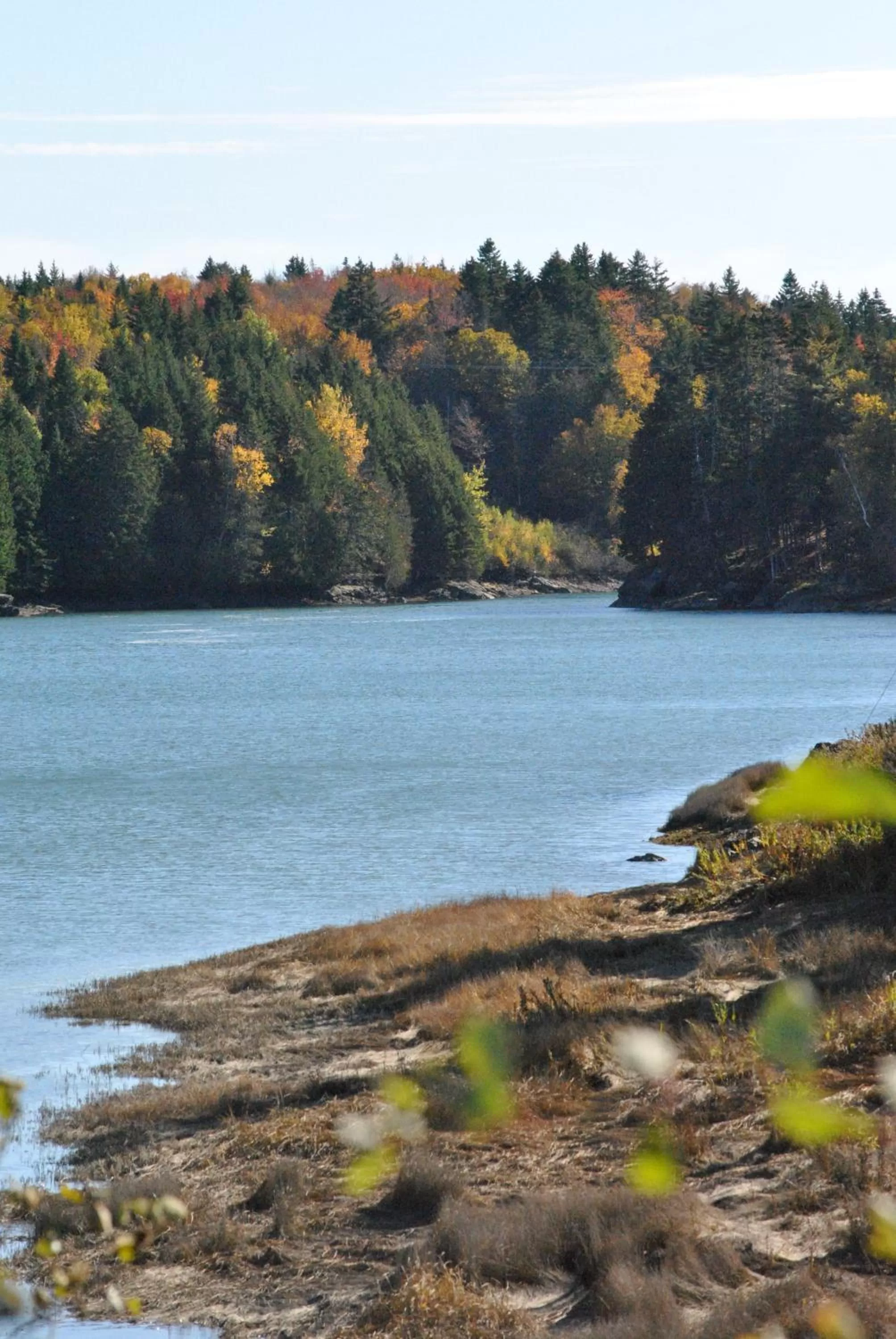 Nearby landmark in Dominion Hill Country Inn