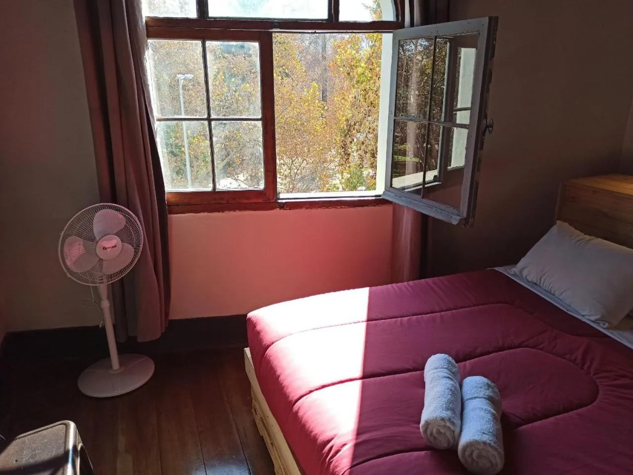 Bed in Hostel Boutique Merced 88