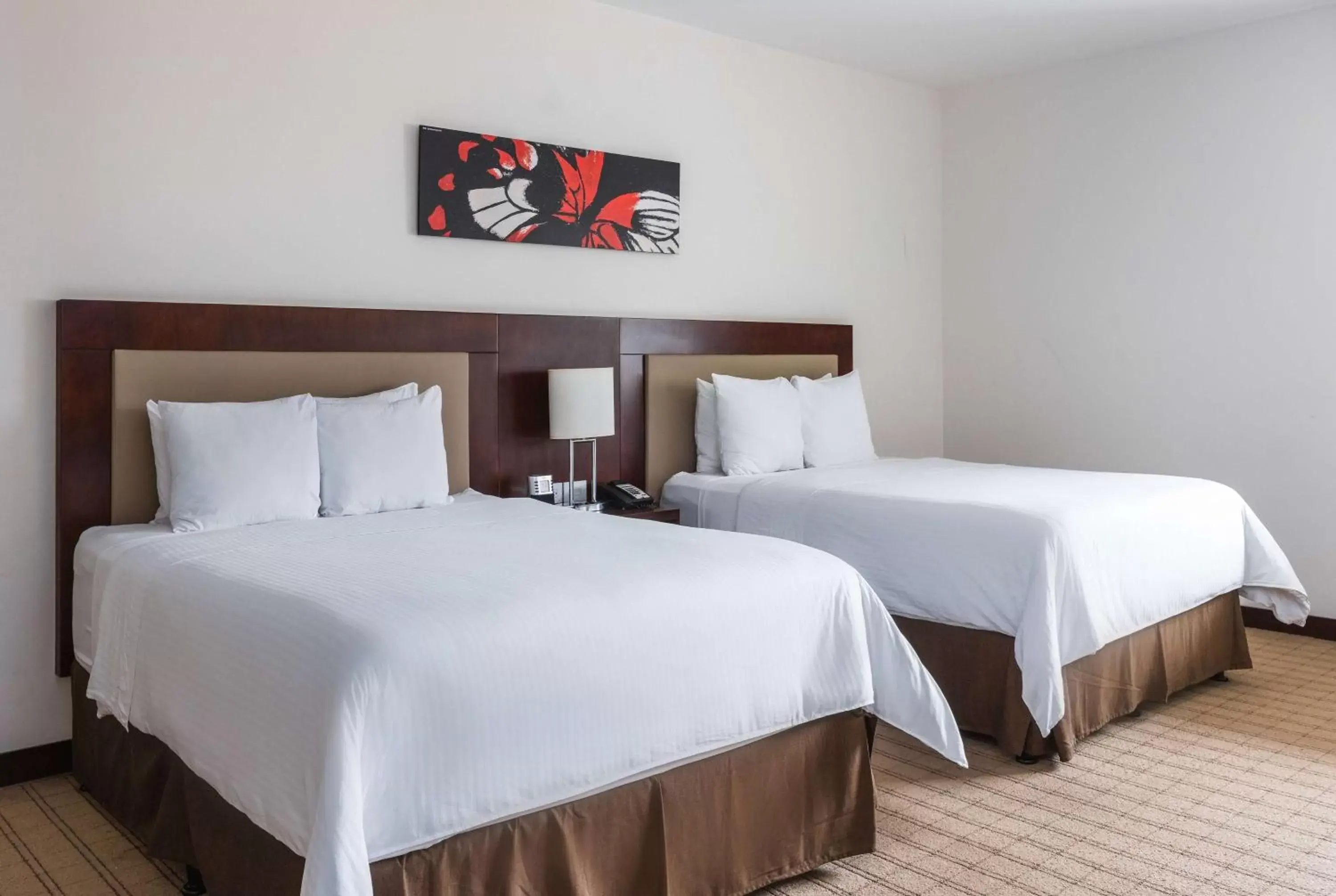 Queen Room - Disability Access / Non-Smoking in Wyndham Garden San Jose Escazu, Costa Rica Queen Room - Disability Access / Non-Smoking in Wyndham Garden San Jose Escazu, Costa Rica