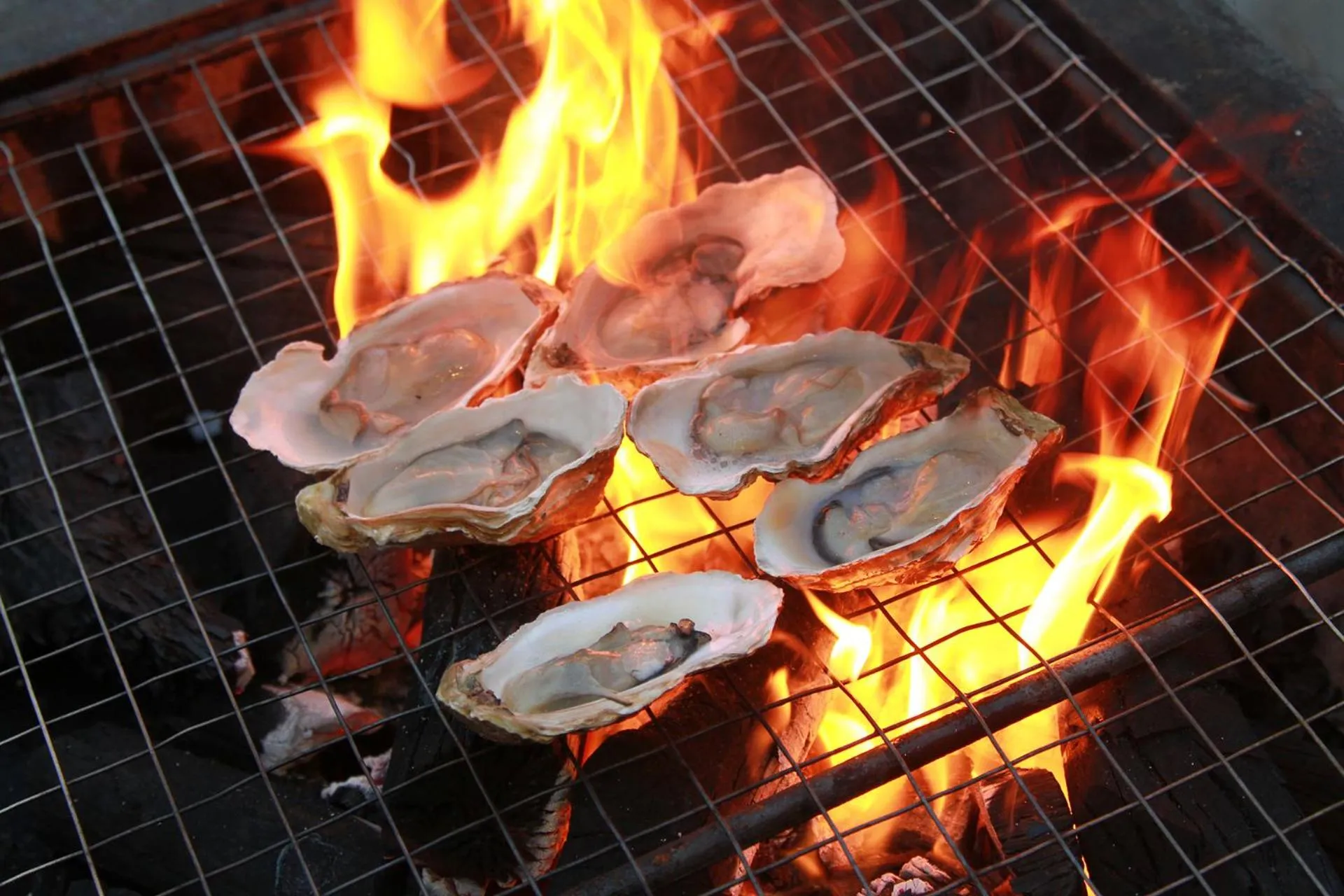 Restaurant/places to eat in Mission Hills Hotel Resorts Dongguan