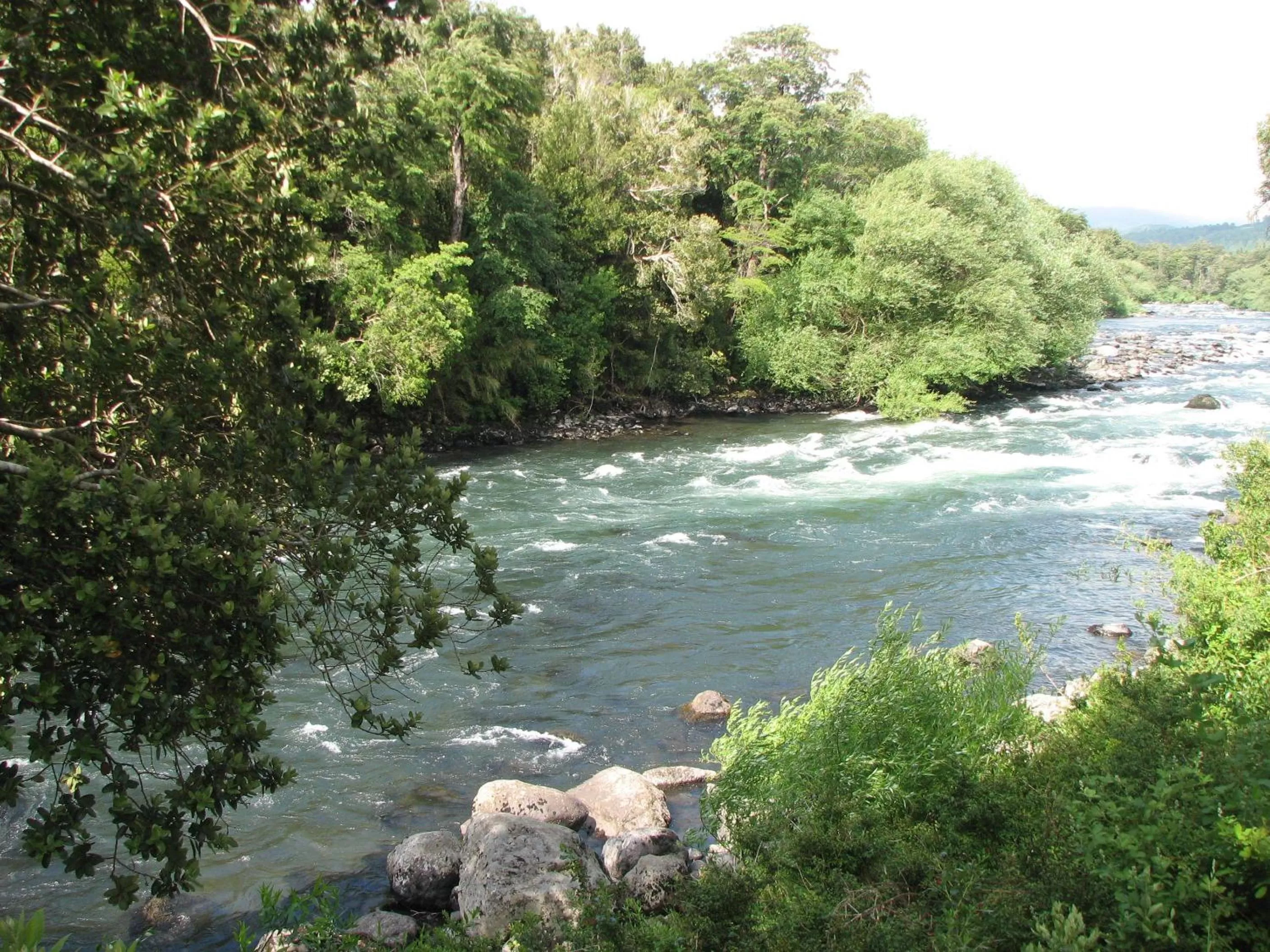 Area and facilities in Hotel Posada del Río - Parque Metreñehue