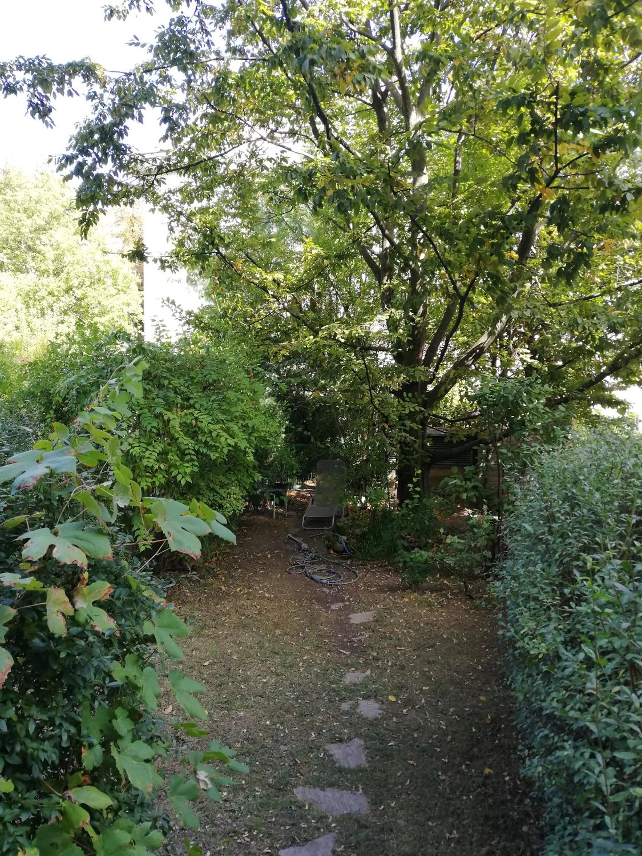 Garden in Room in maisonette with garden, parking place