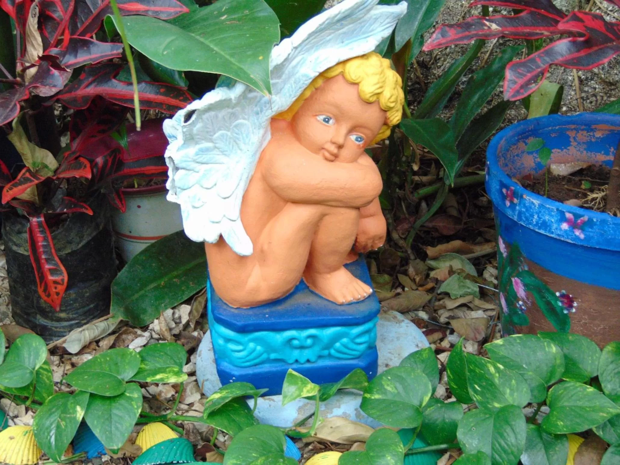 Property building in Casa Lima B&B