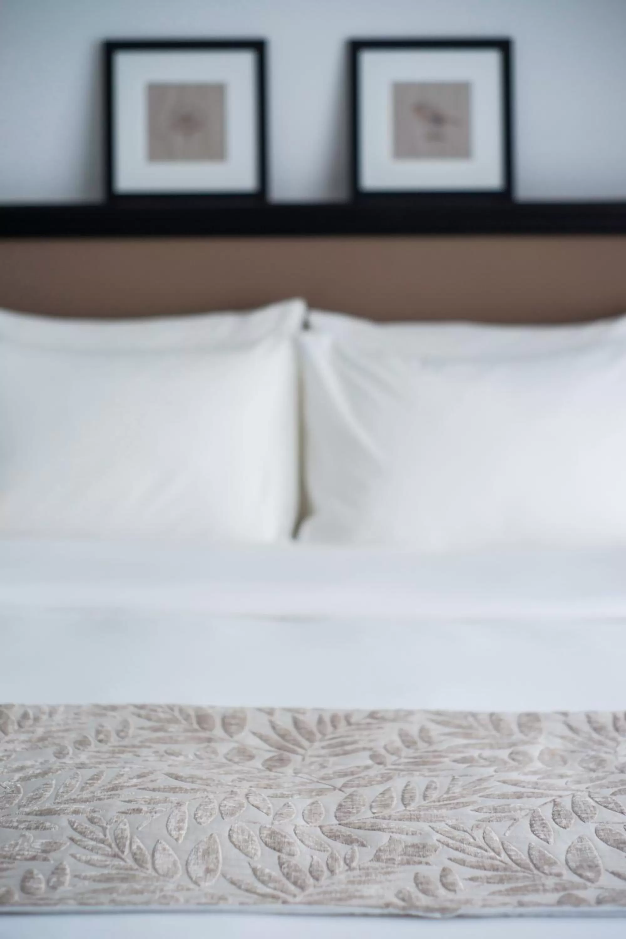 bunk bed in The Alcove Library Hotel
