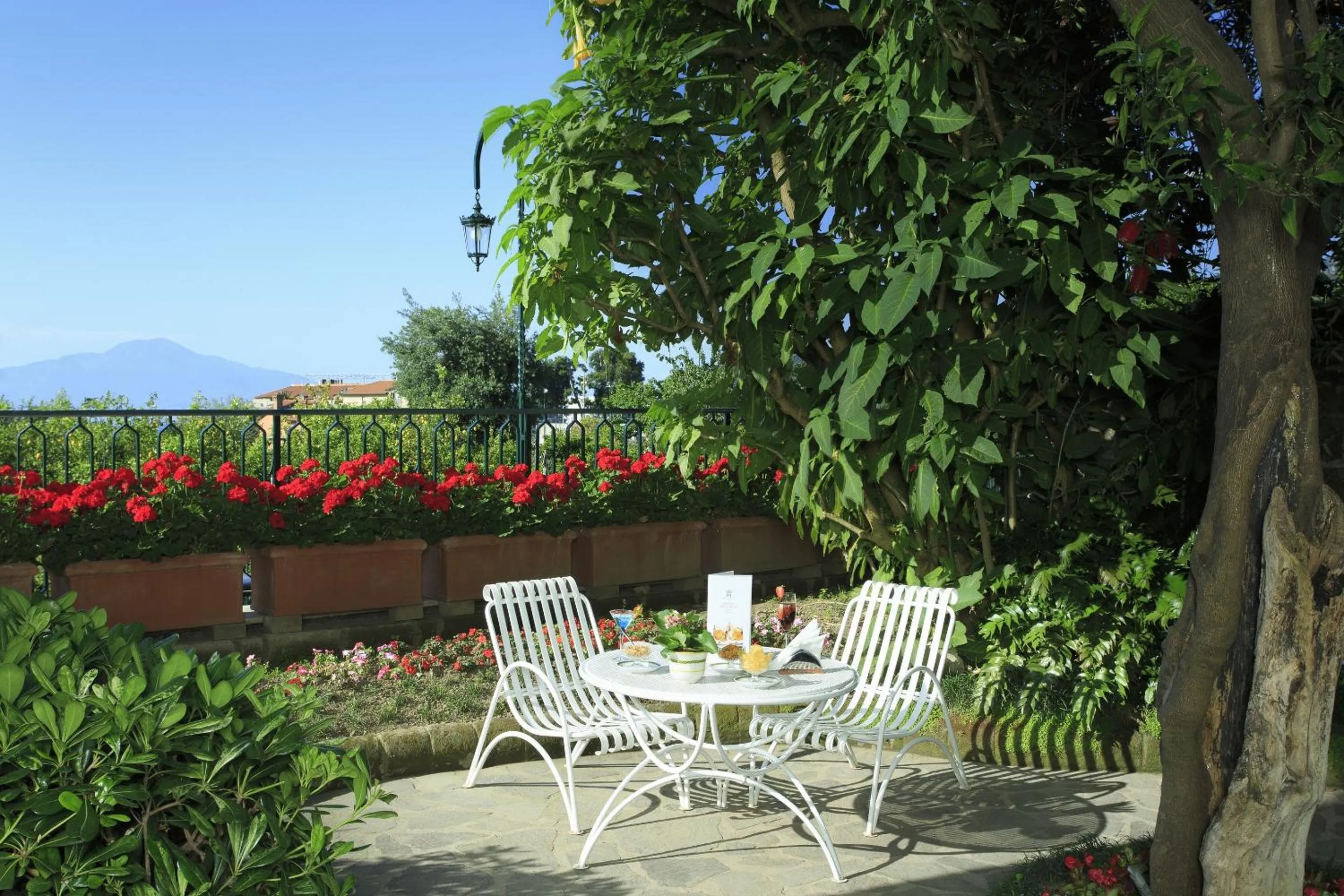 Garden in Grand Hotel de la Ville