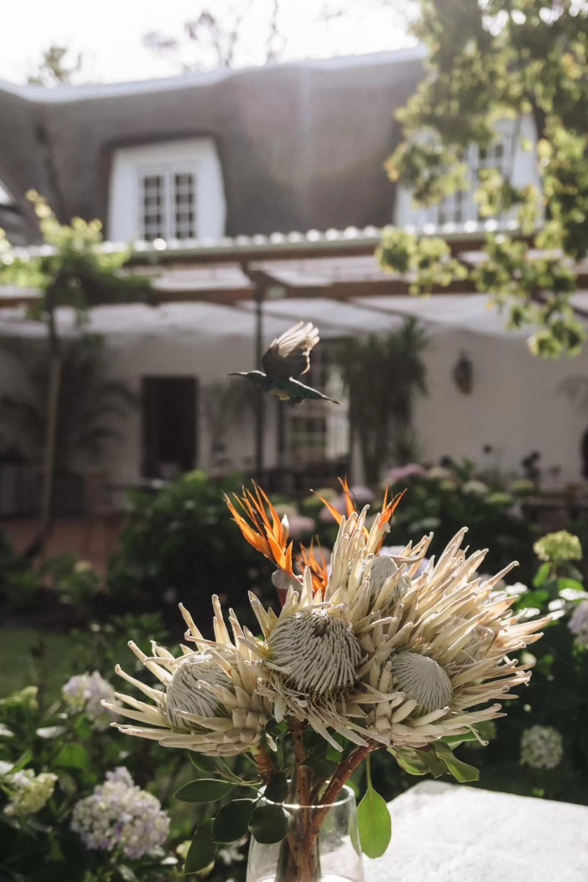 View (from property/room) in Adara Palmiet Valley Luxurious Boutique Farm Hotel