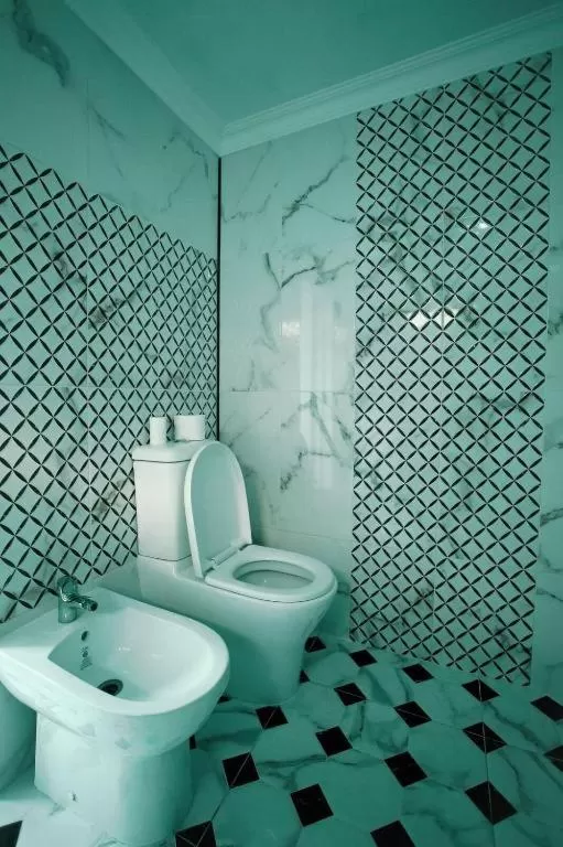 Bathroom in Apartment OLD KUTAISI