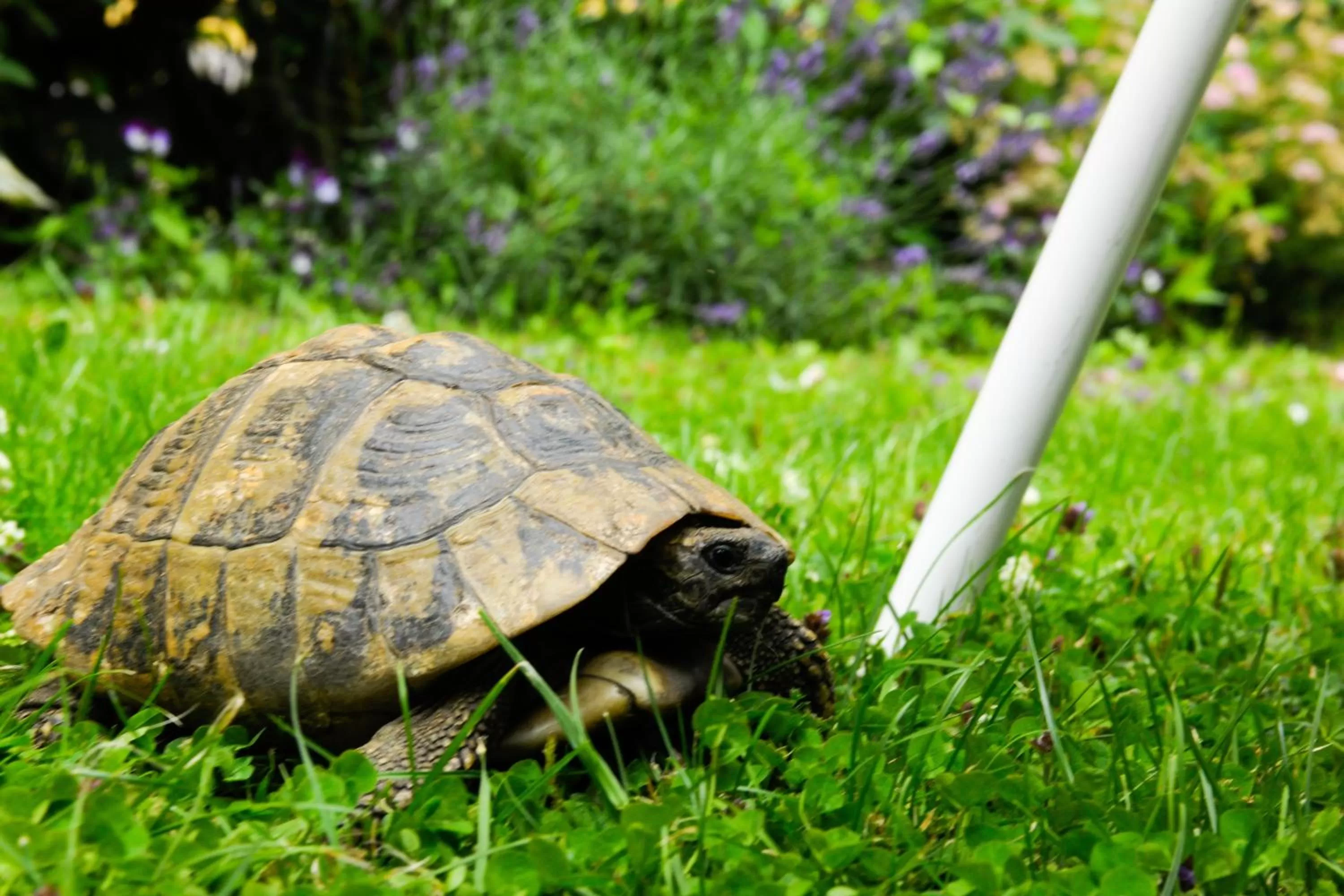 Patio in Hotel Markus Sittikus Salzburg