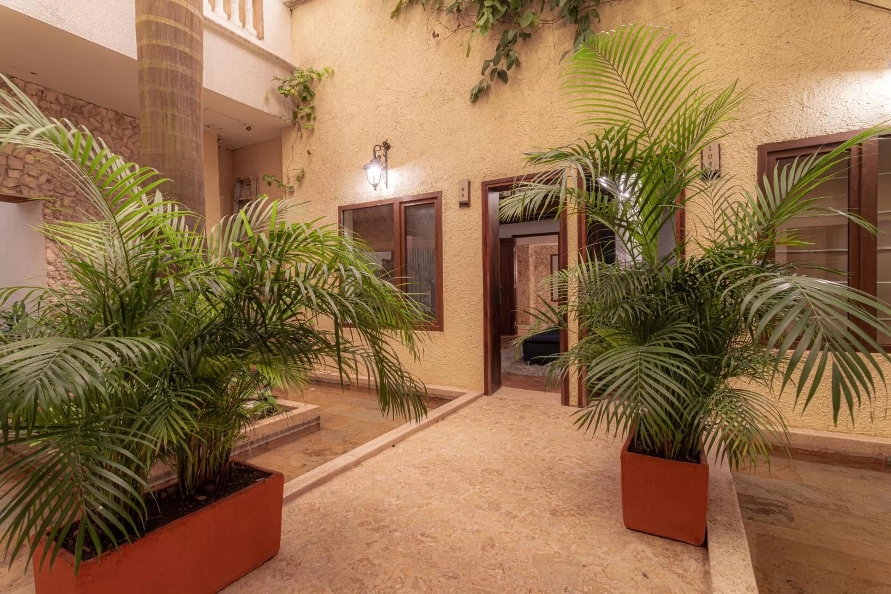 Garden view in Soy Local Insignia