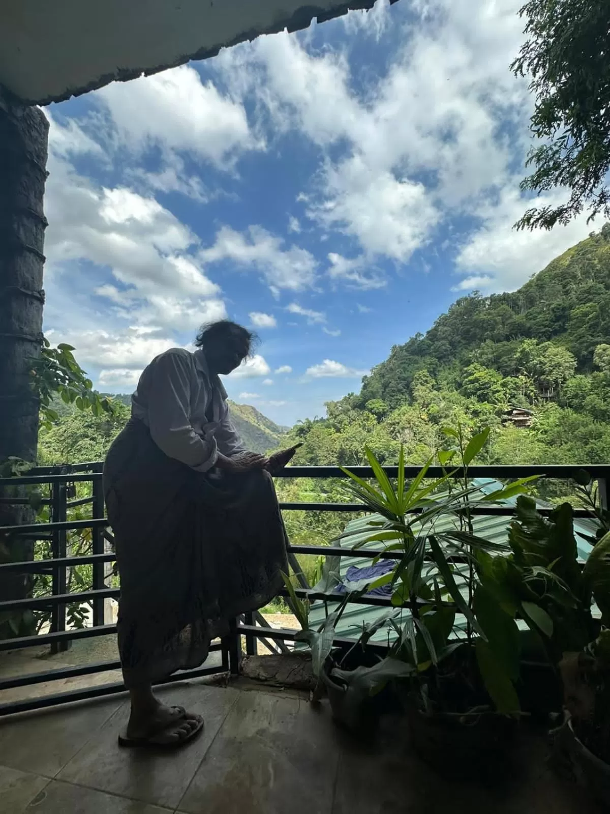 Ella Lucky Panoramic