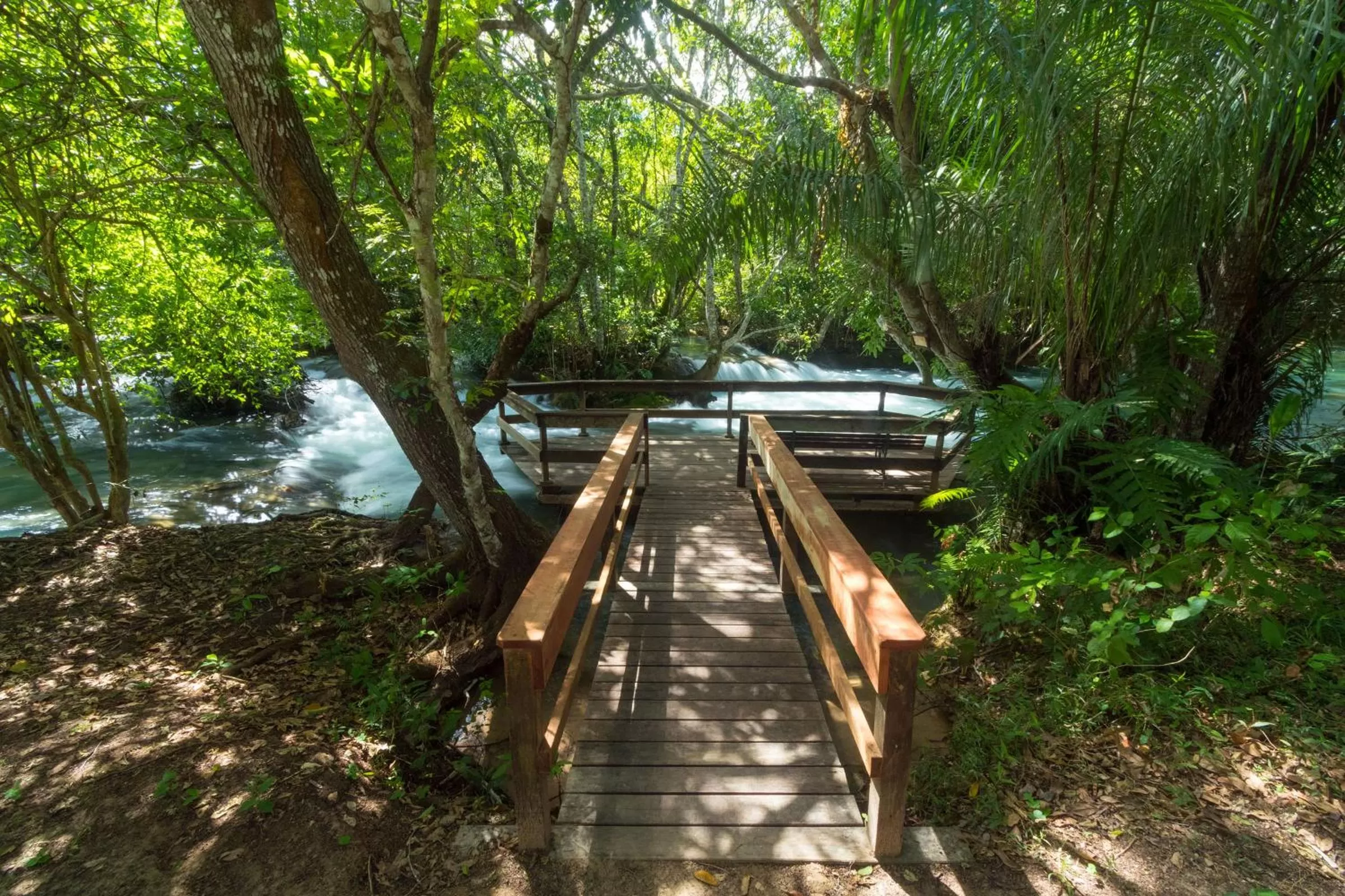 Natural landscape in Hotel Santa Esmeralda