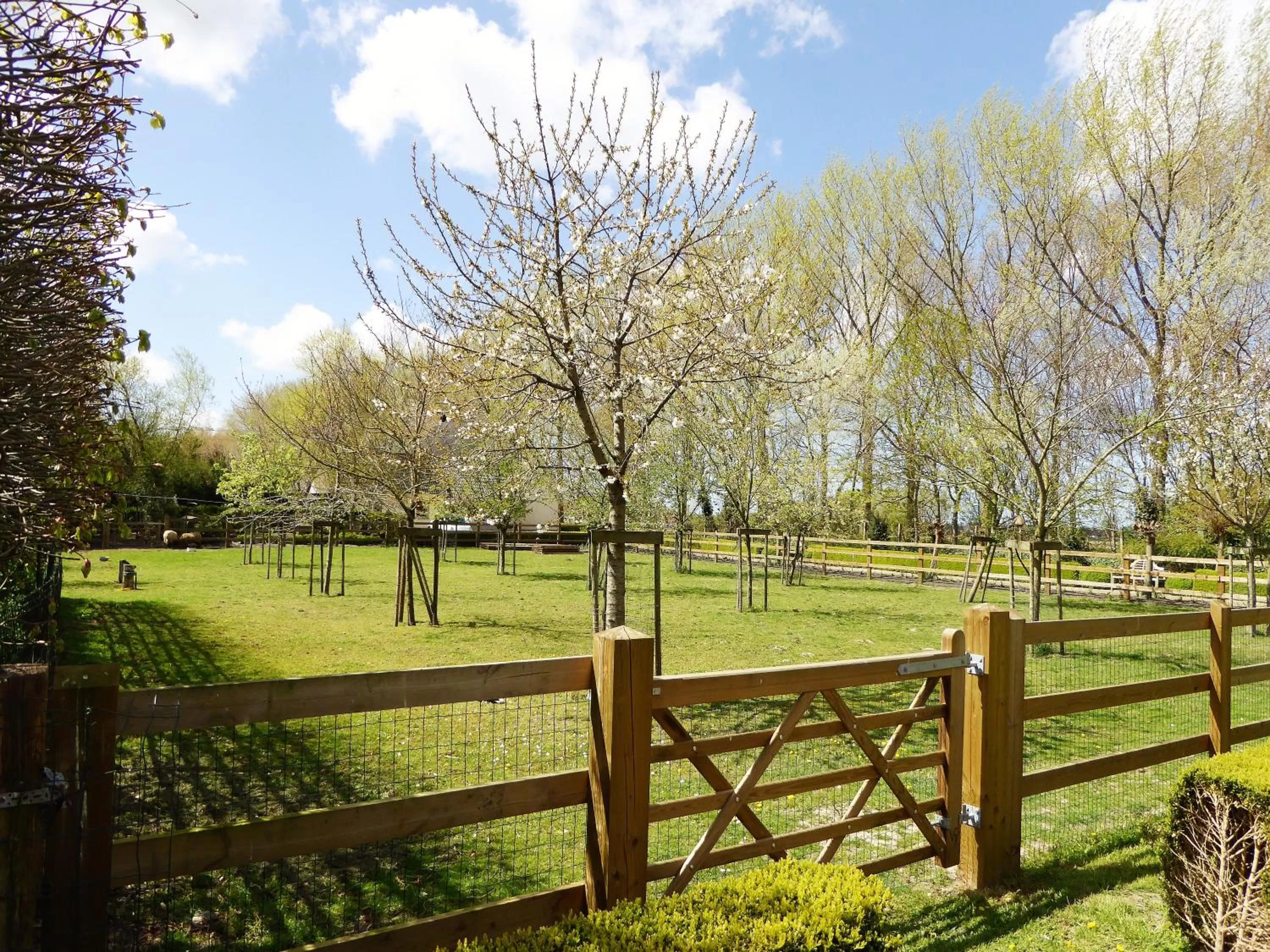 Garden view in Boutique hotel Het Bloemenhof