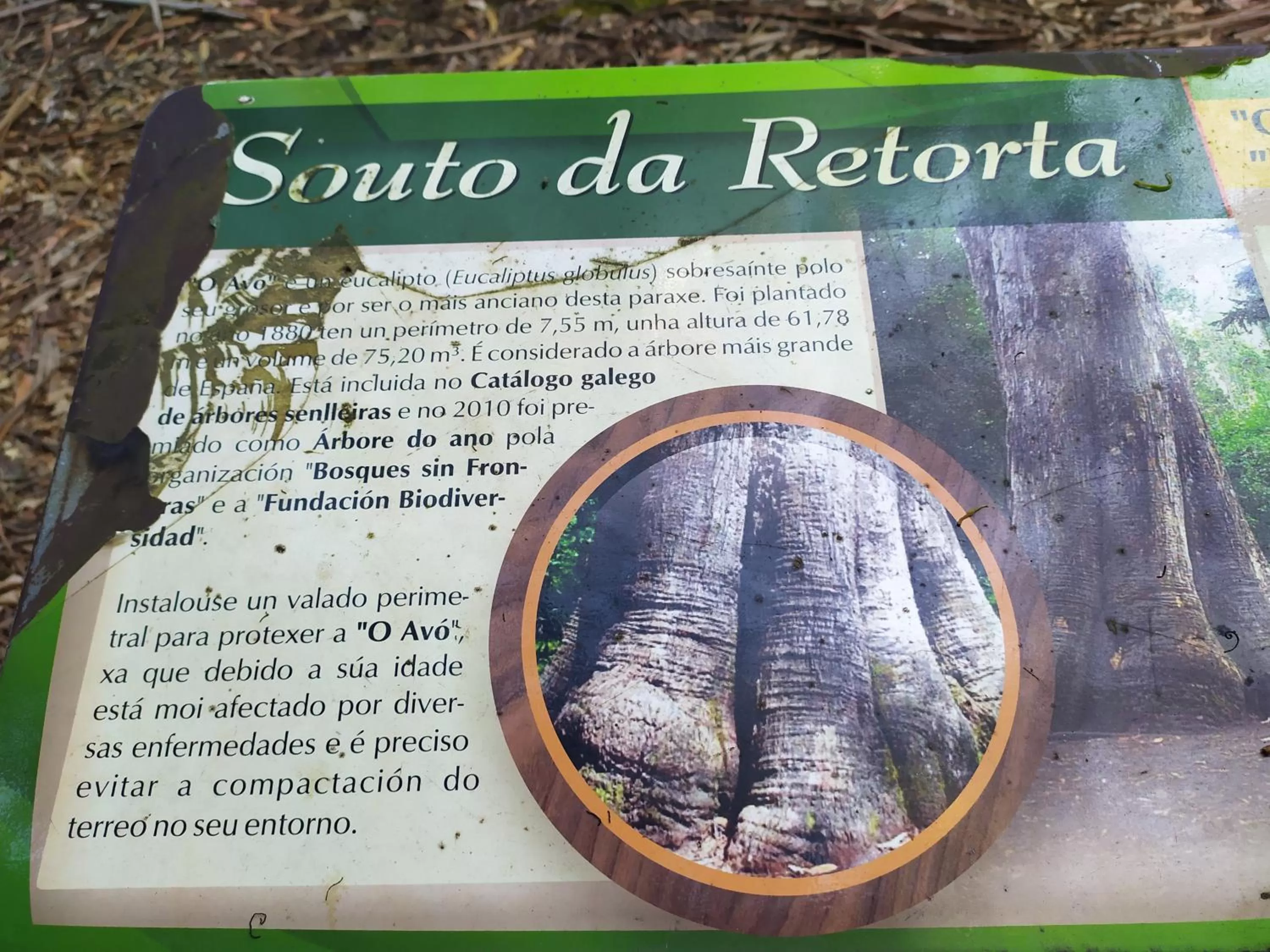 Nearby landmark in Hotel Celta Galaico