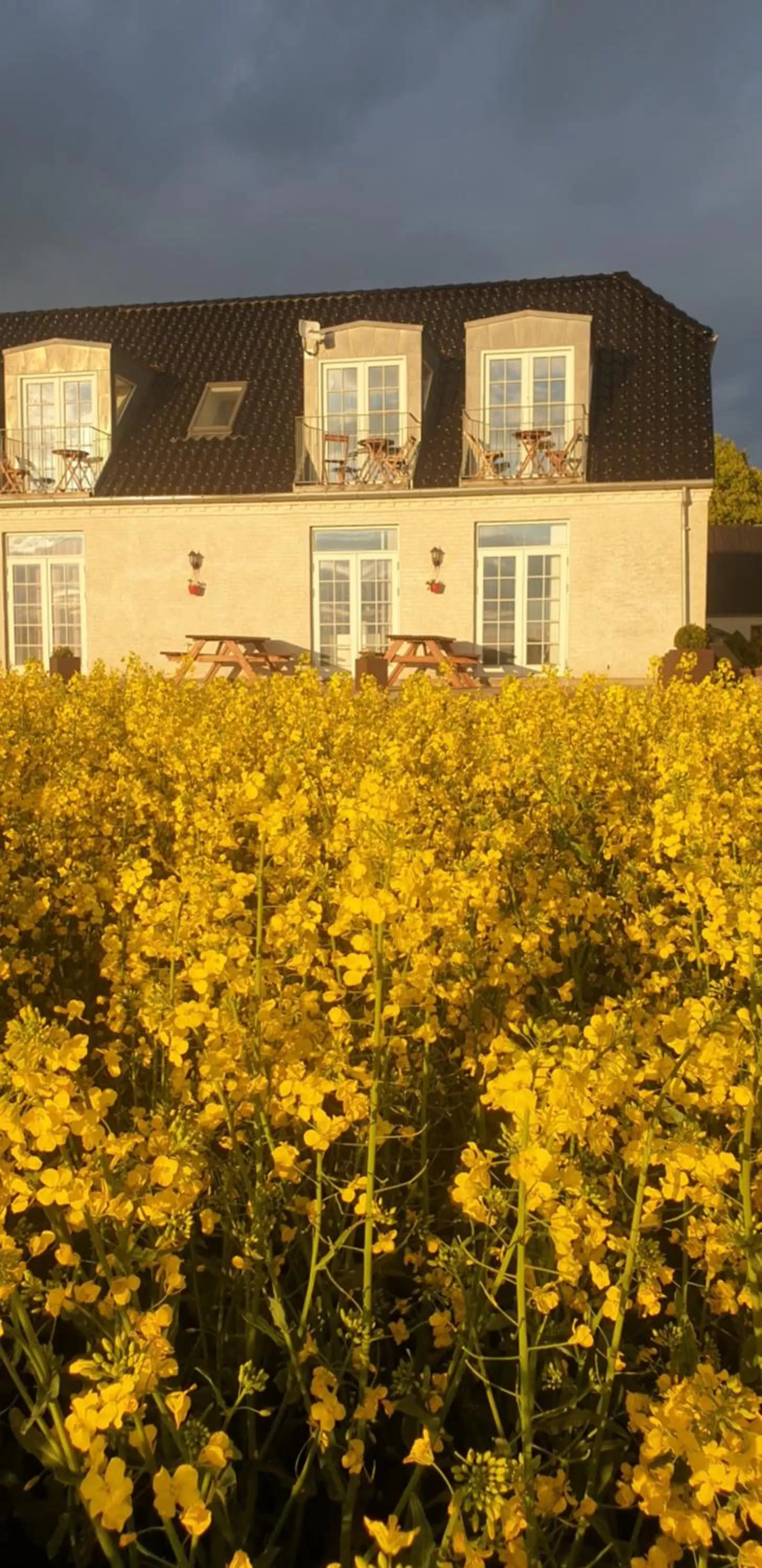 Property Building in Roskilde B&B