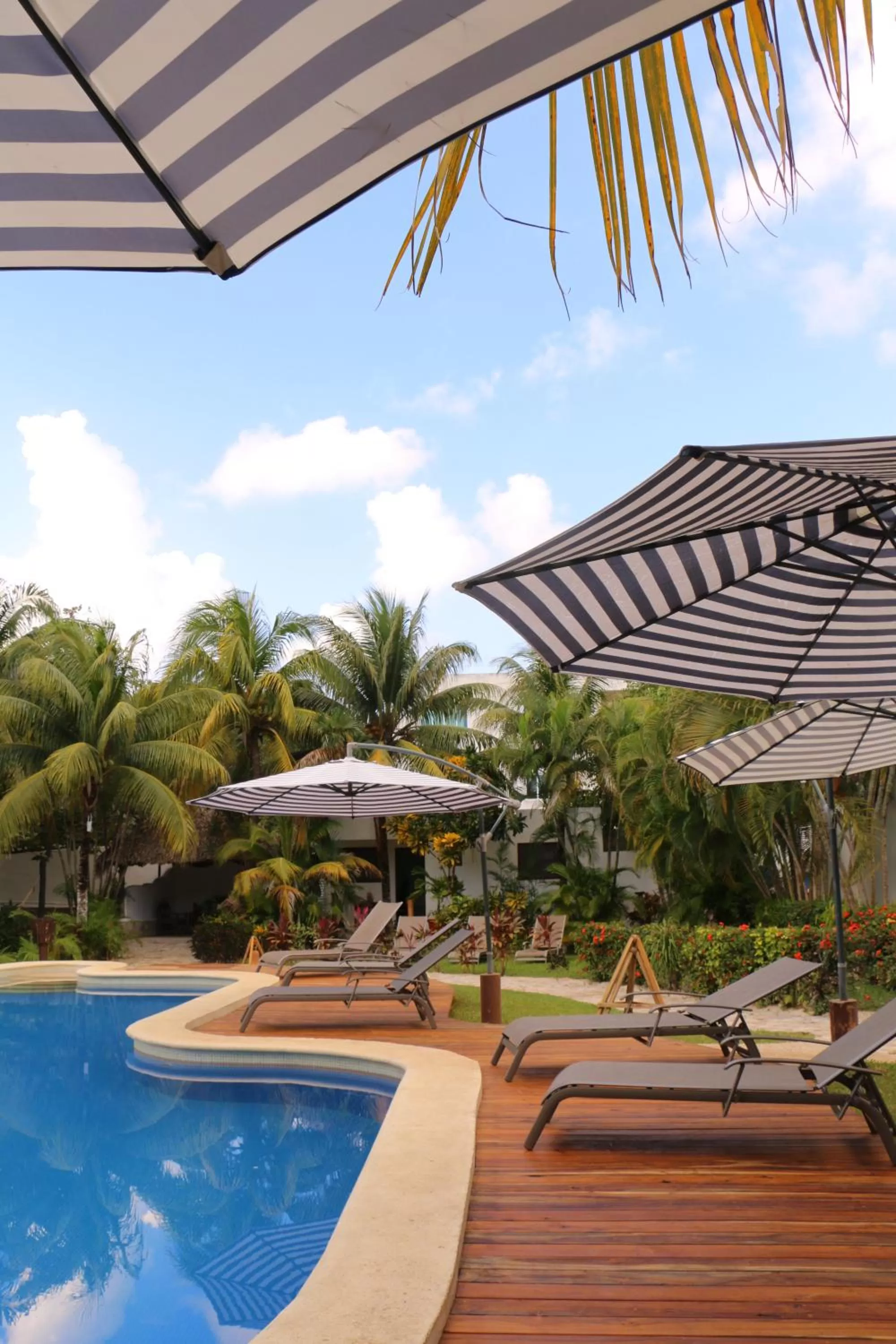 Patio, Swimming Pool in WishTulum