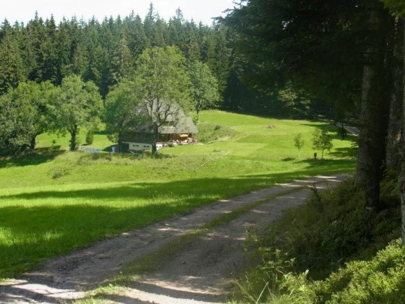 Natural landscape in ZUR TRAUBE Schwarzwaldhotel & Restaurant am Titisee