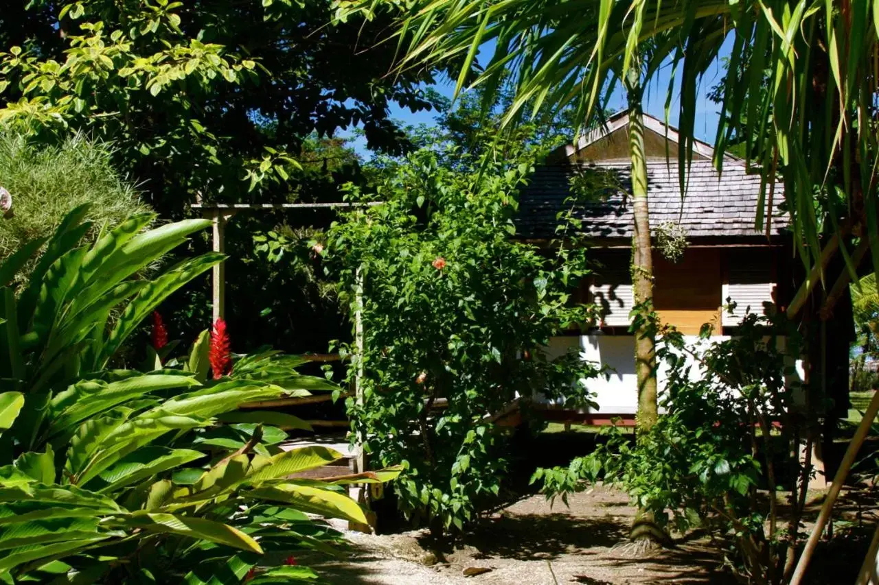 Family Cottage in Acajou Hotel Family Cottage in Acajou Hotel