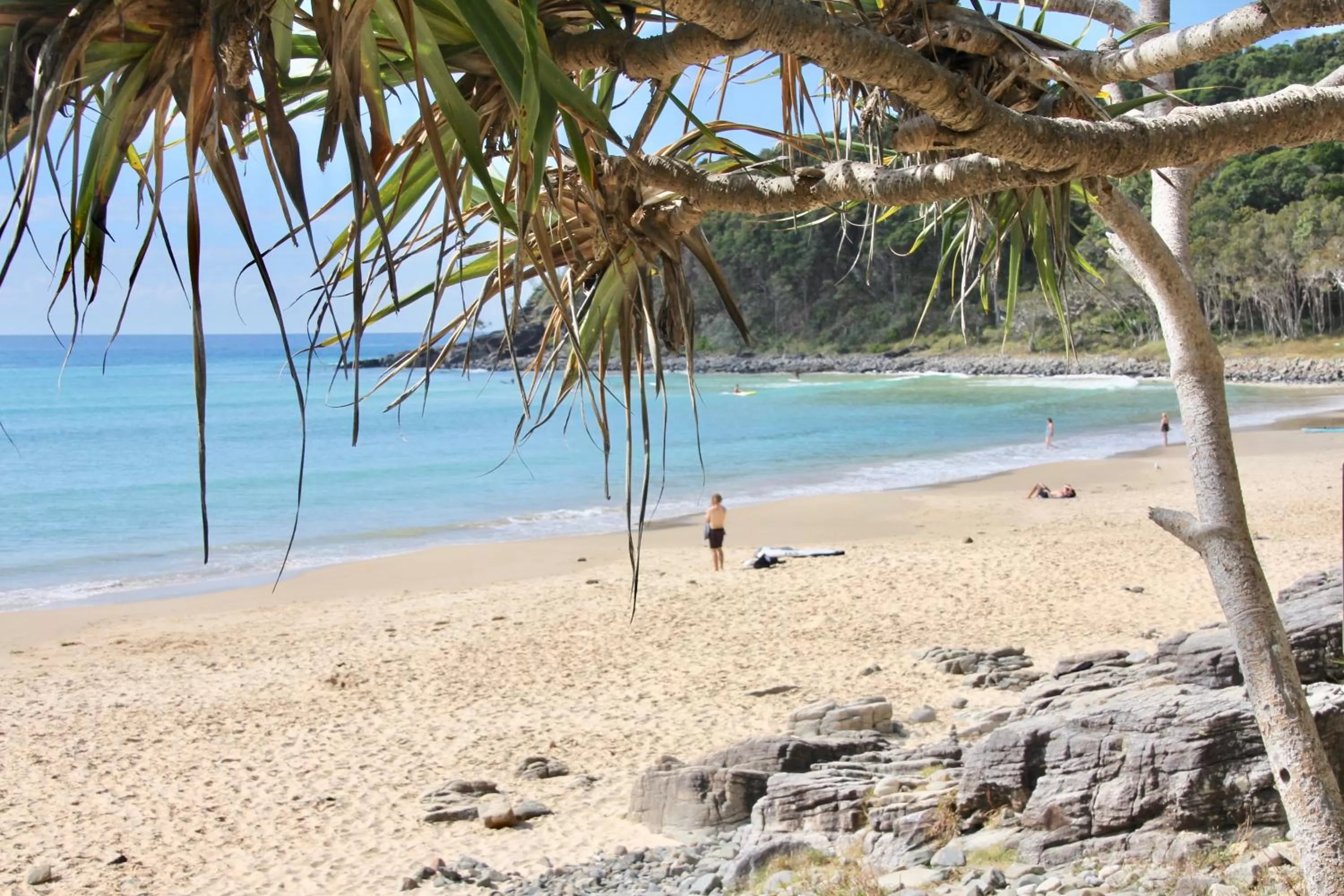 Beach in Hideaway Noosa Men Only Beach Resort