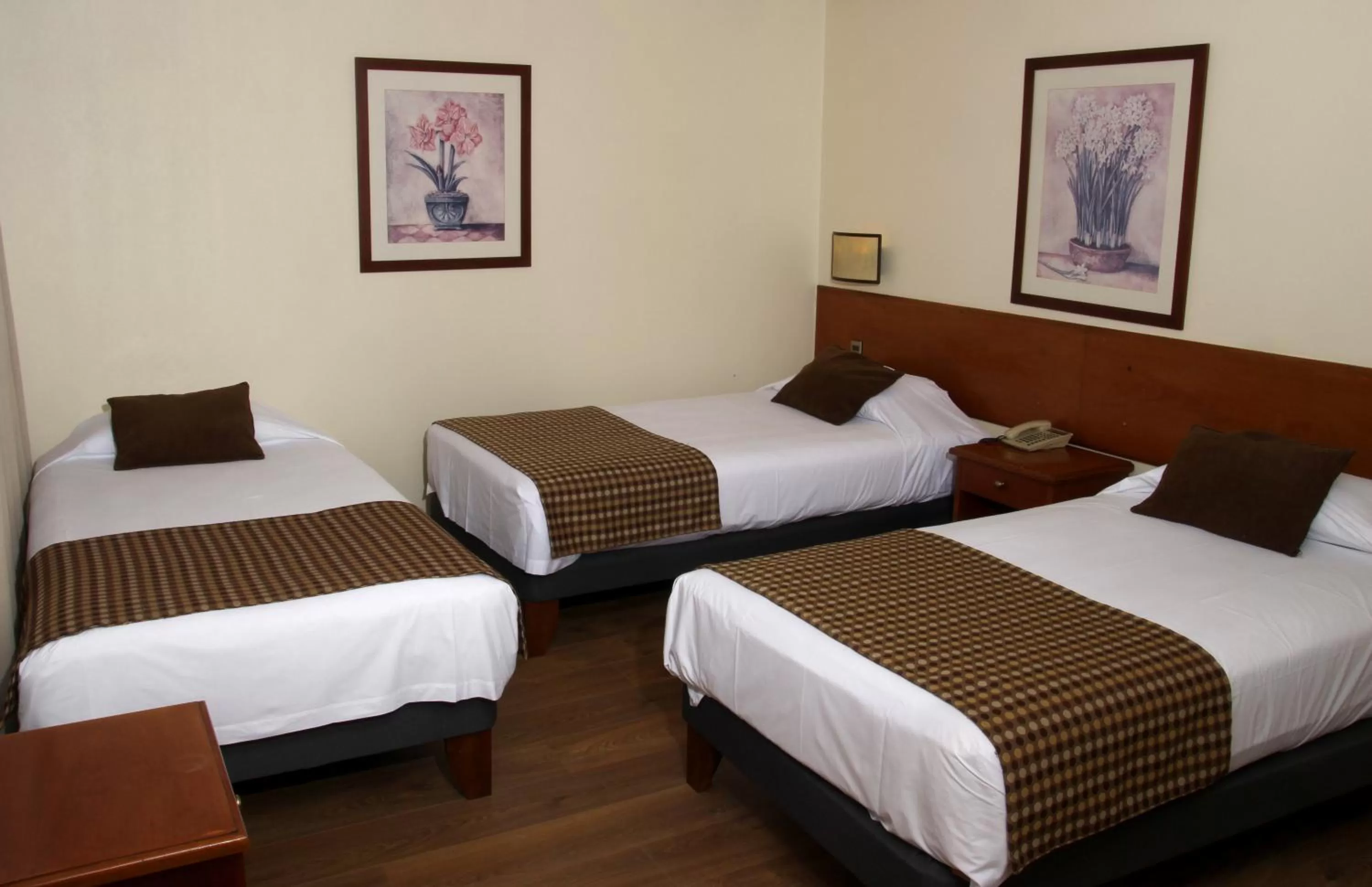 Photo of the whole room, Bed in Tur Hotel Santiago