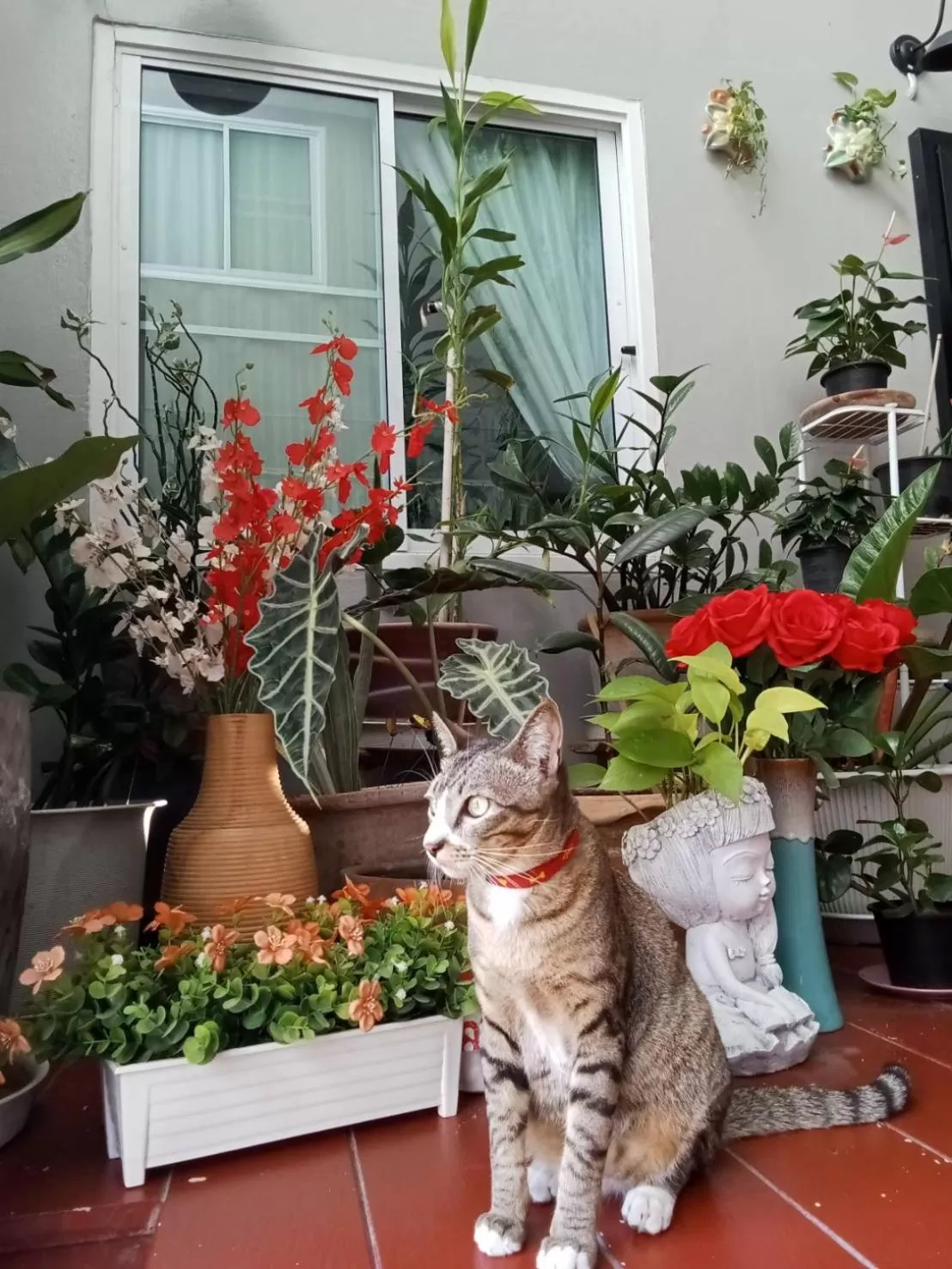 Property building in Vlodge House