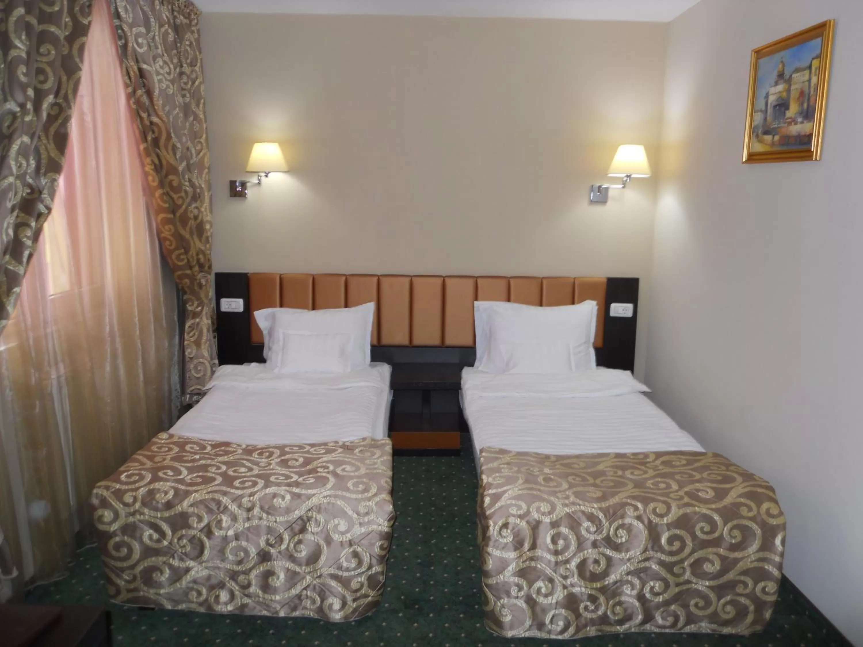Double or Twin Room in Hotel Bistrita