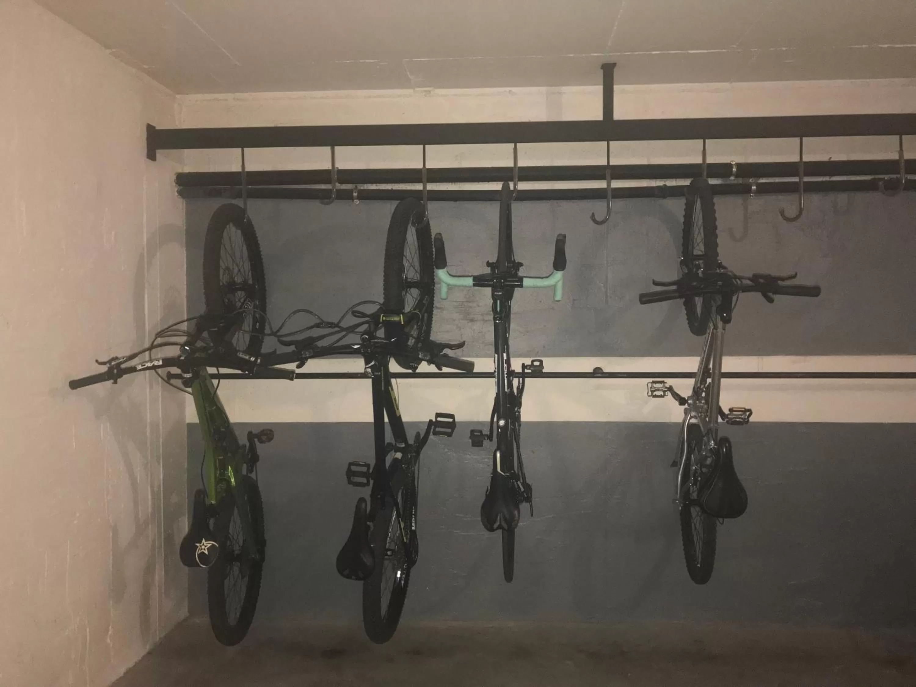 Cycling in Residence Alle Palme