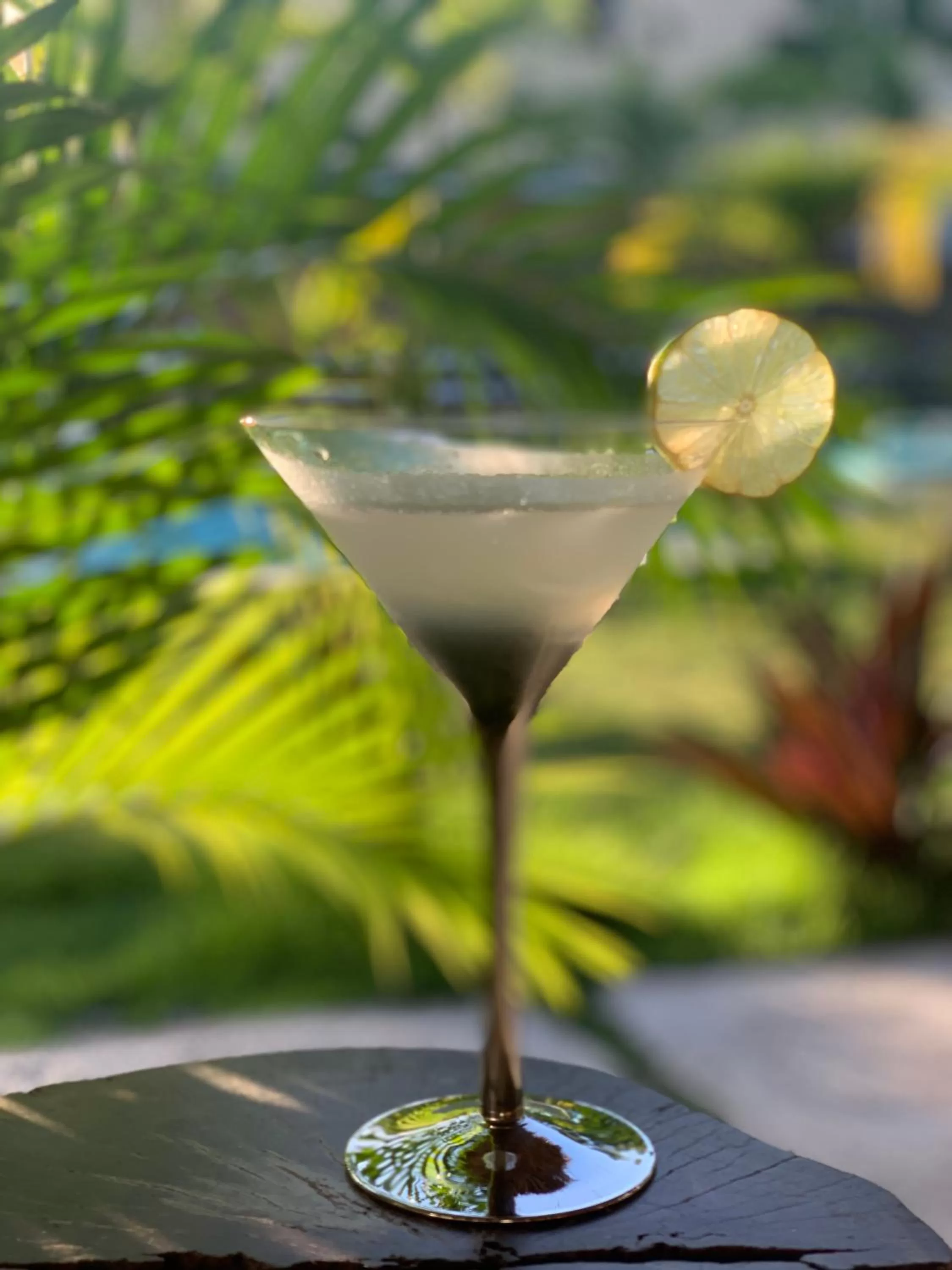 Alcoholic drinks in PUNTA POPY BOUTIQUE HOTEL - Adults Only