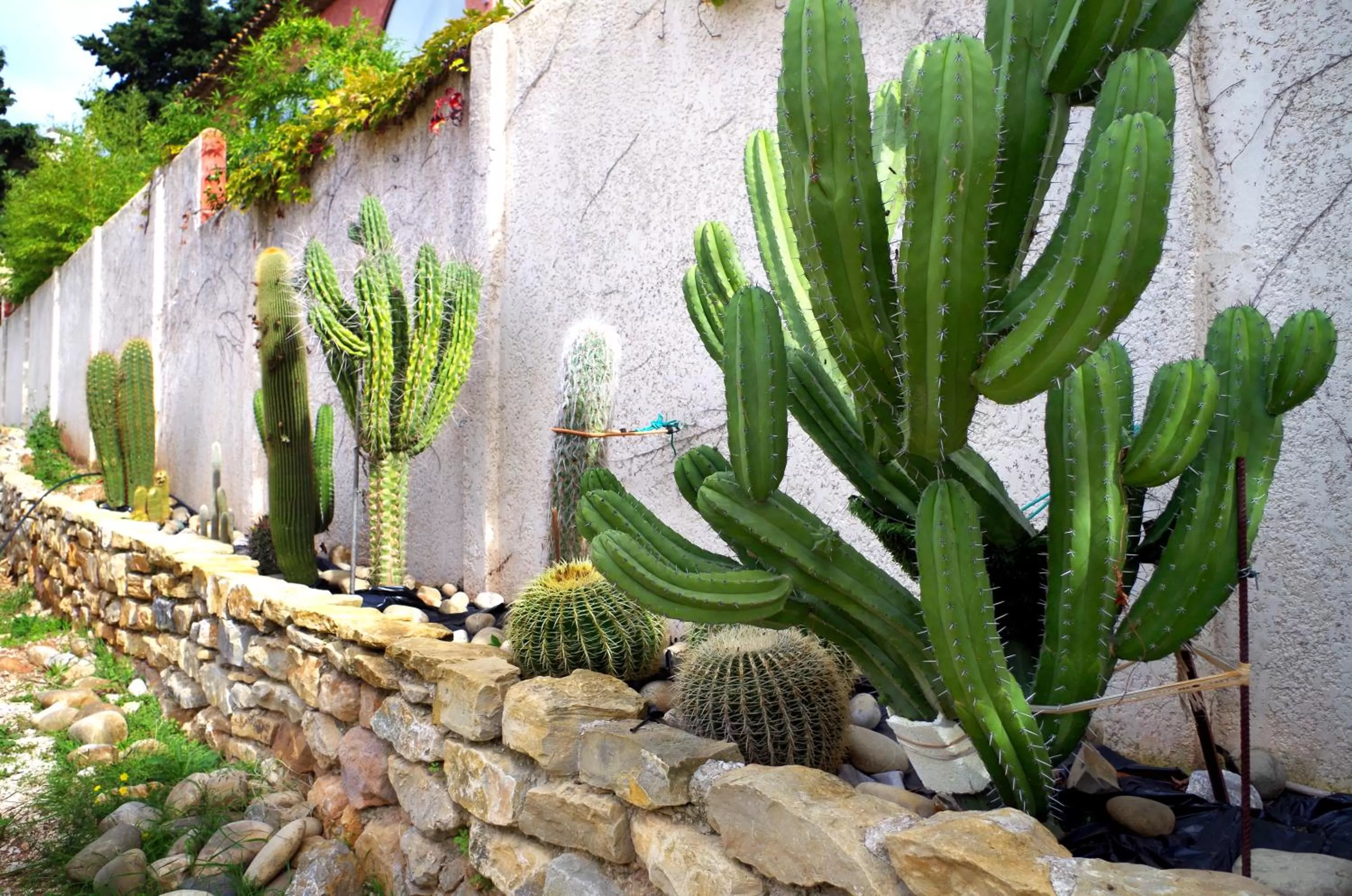 Garden in B&B Val D'azur