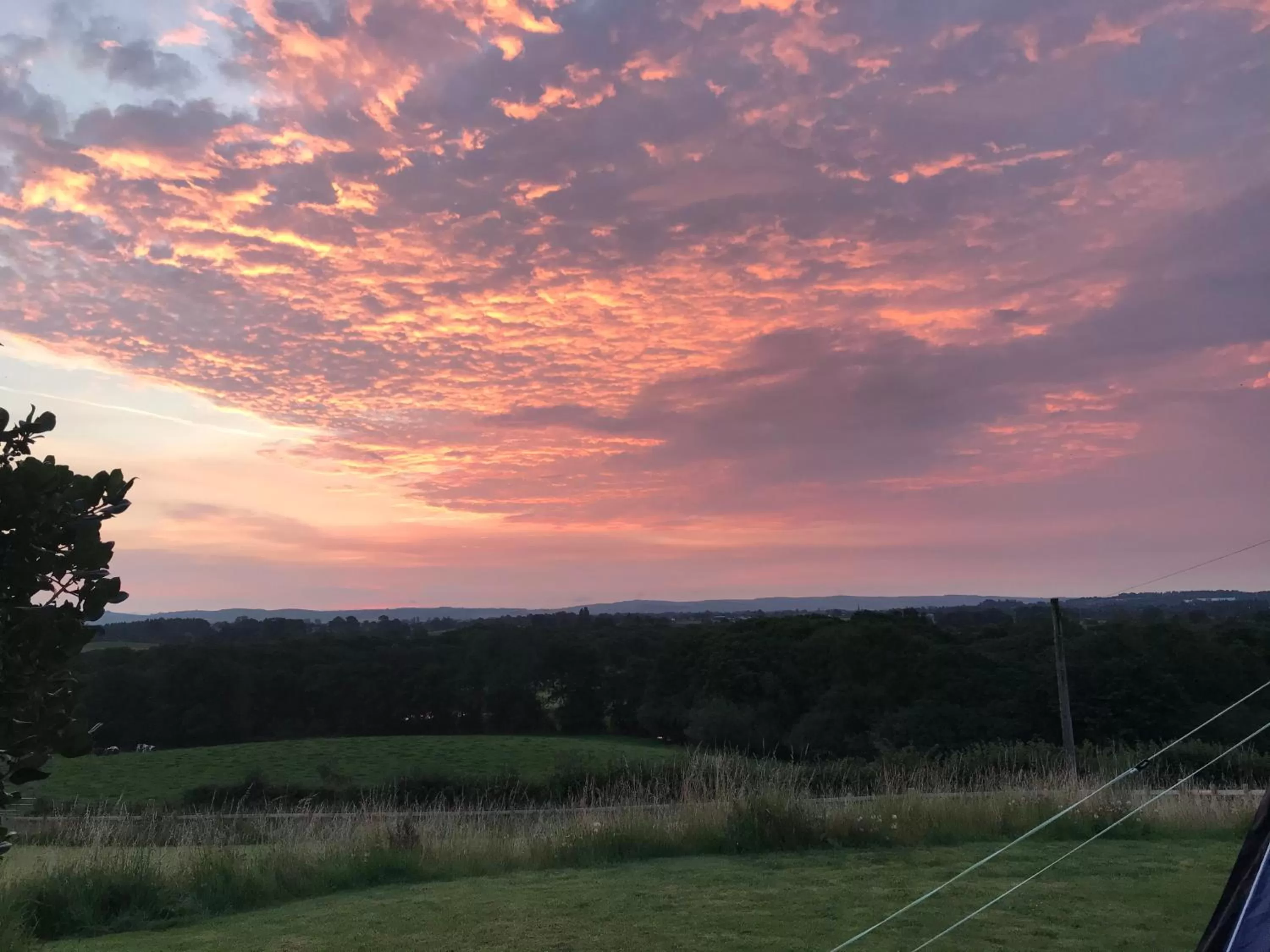 Natural Landscape in Jacquie's B&B -Dumfries-Room with a view - hot tub