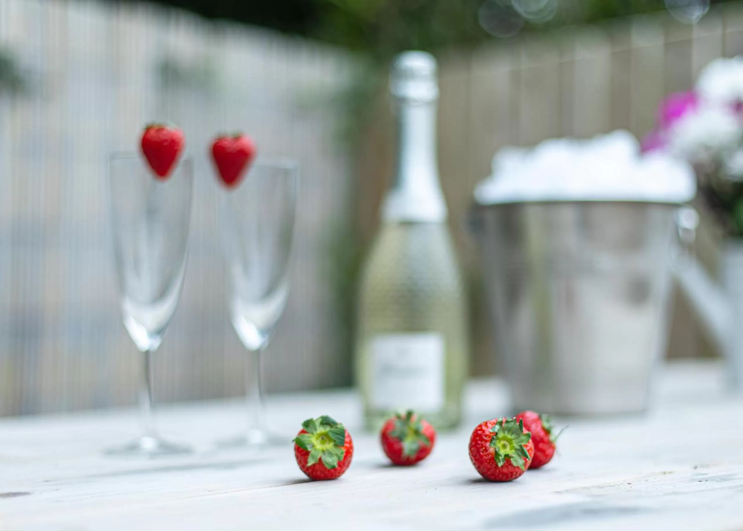 Patio in Entire family home , large rear garden and free parking