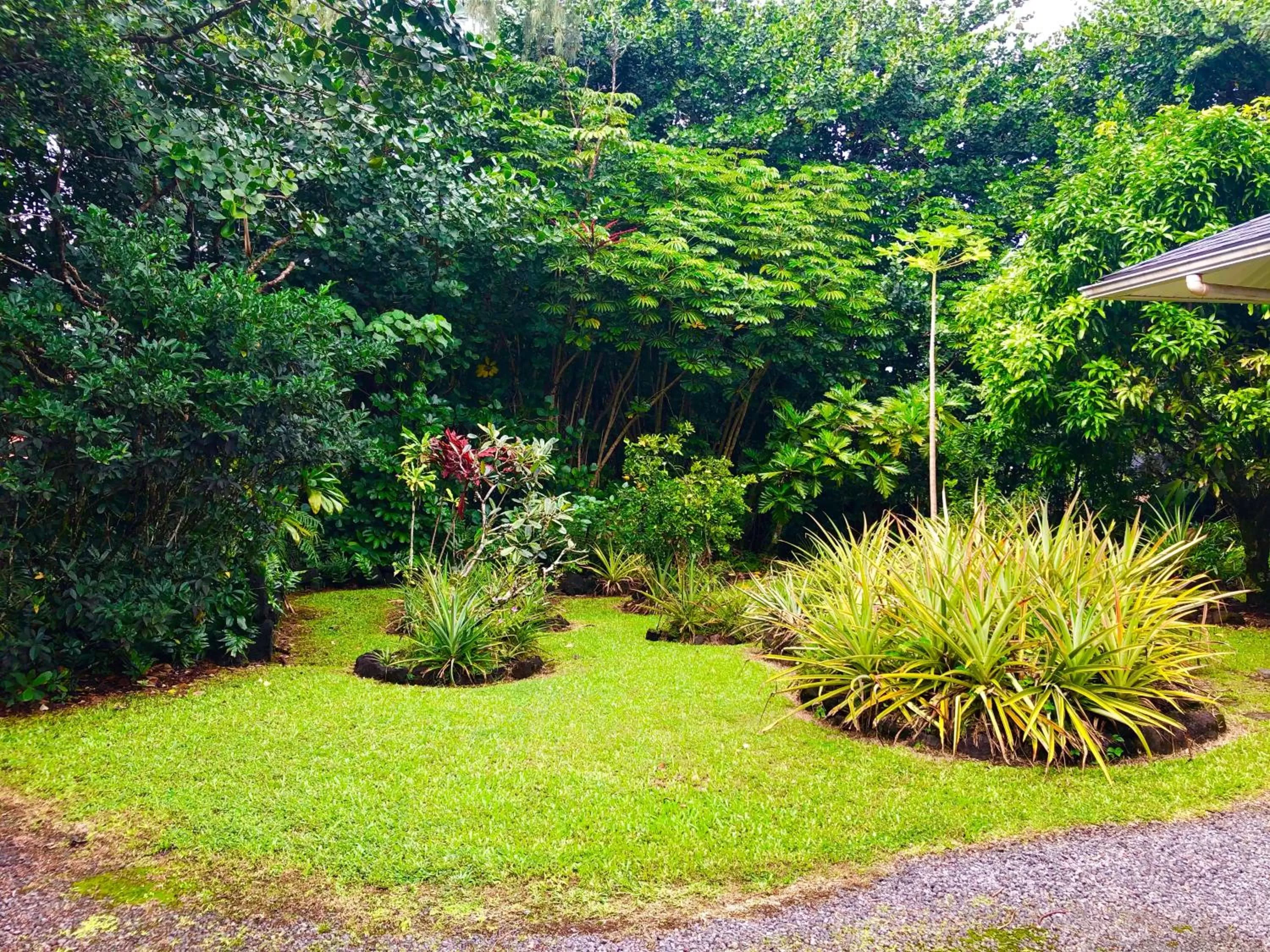 Garden in Ala Kai Bed and Breakfast