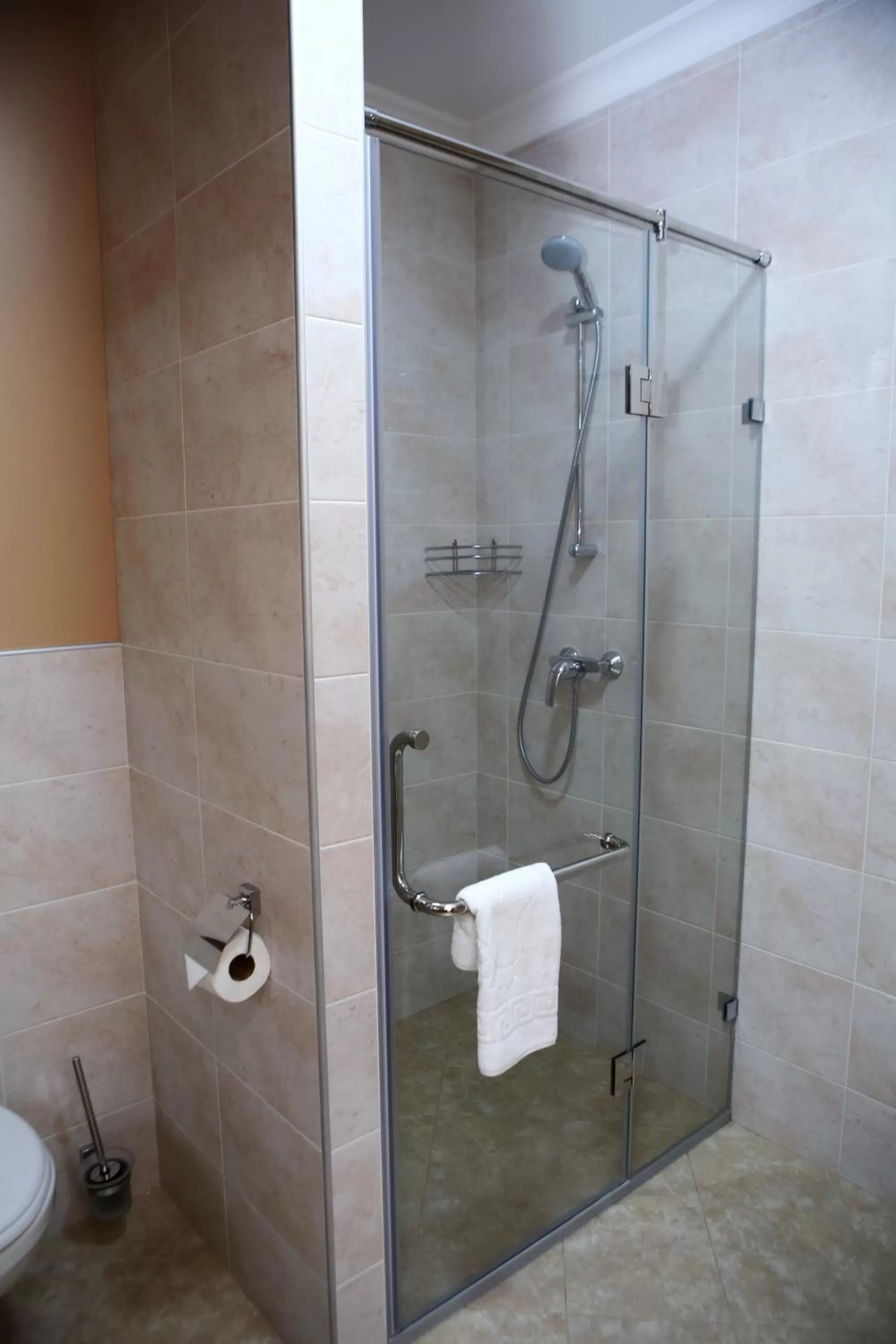 Shower, Bathroom in Hotel Aner