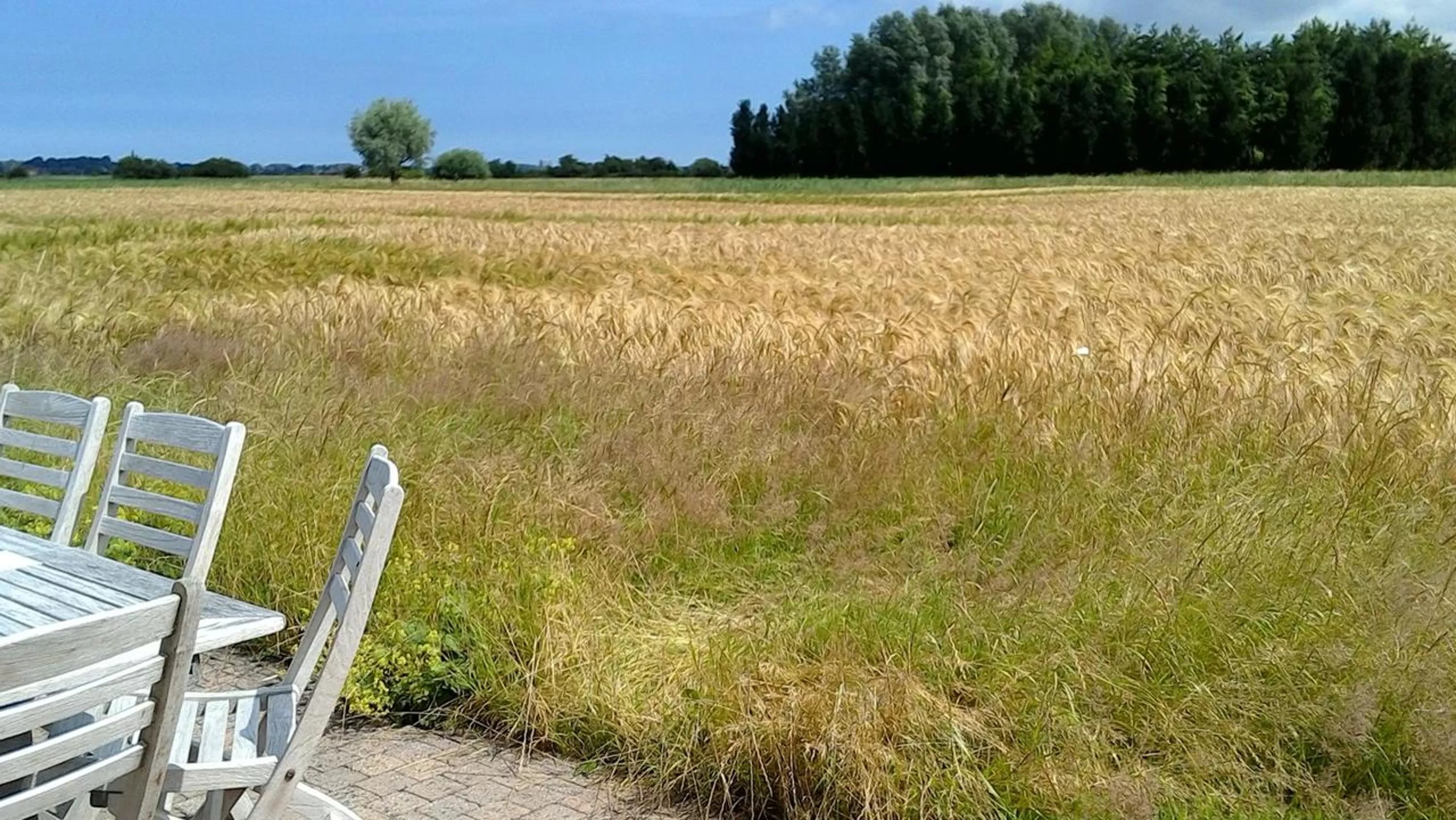 View (from property/room) in Ateljee Devlaux