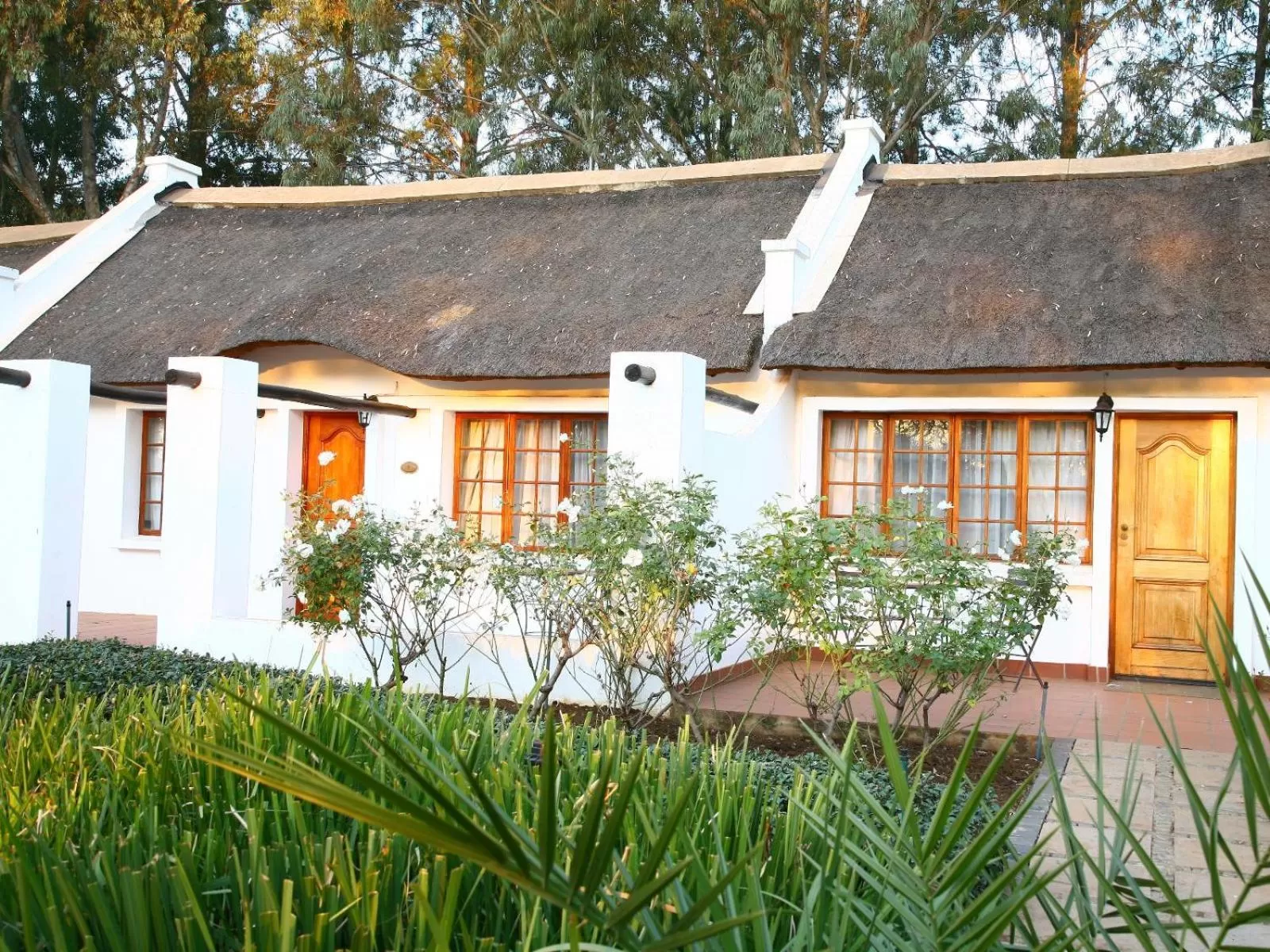 Garden view in Kievits Kroon Gauteng Wine Estate