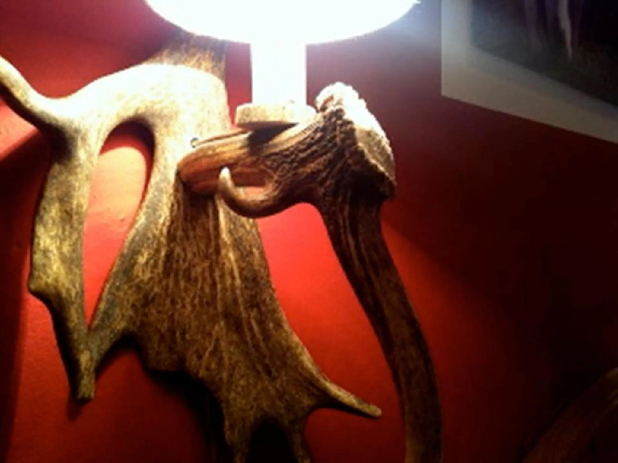 Decorative detail in Hotel Gamshof